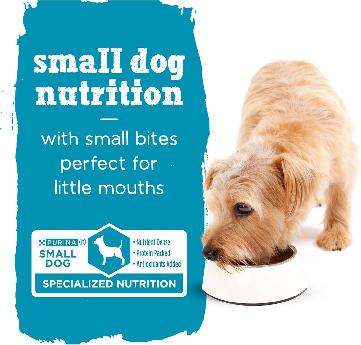 Nourriture humide pour chiens Purina Beneful Small Breed avec sauce, IncrediBites au vrai saumon - (8 paquets de 3) boîtes de 3 oz