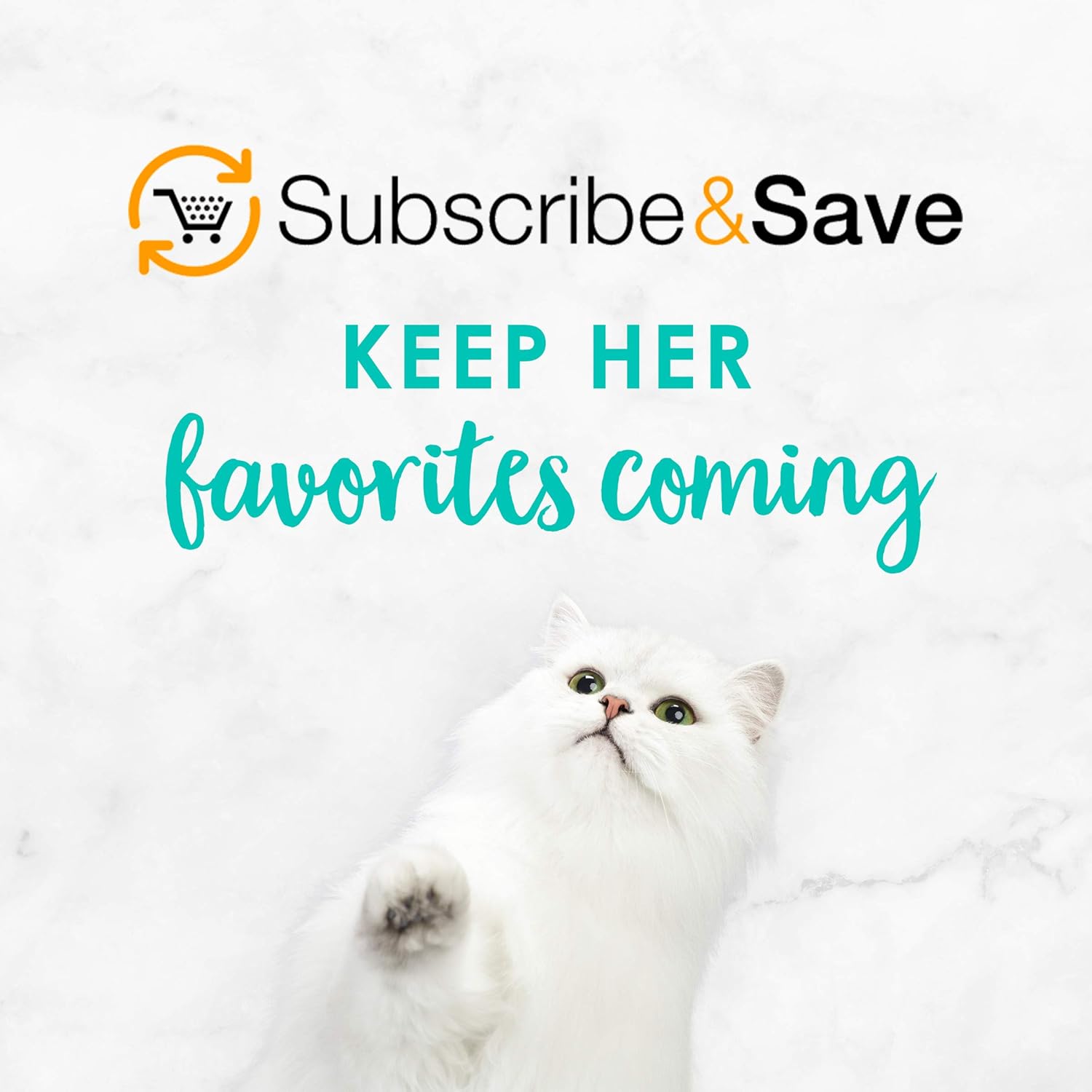Purina Fancy Feast Seafood Classic Pate Collection Tahılsız Islak Kedi Maması Çeşit Paketi - (30'lu Paket) 3 oz Kutular