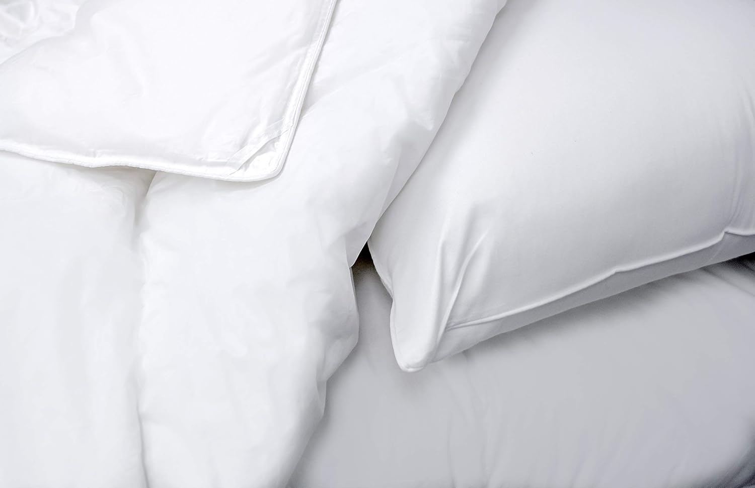 Westex All Season Premium Weight Goose Down Comforter, King · v8