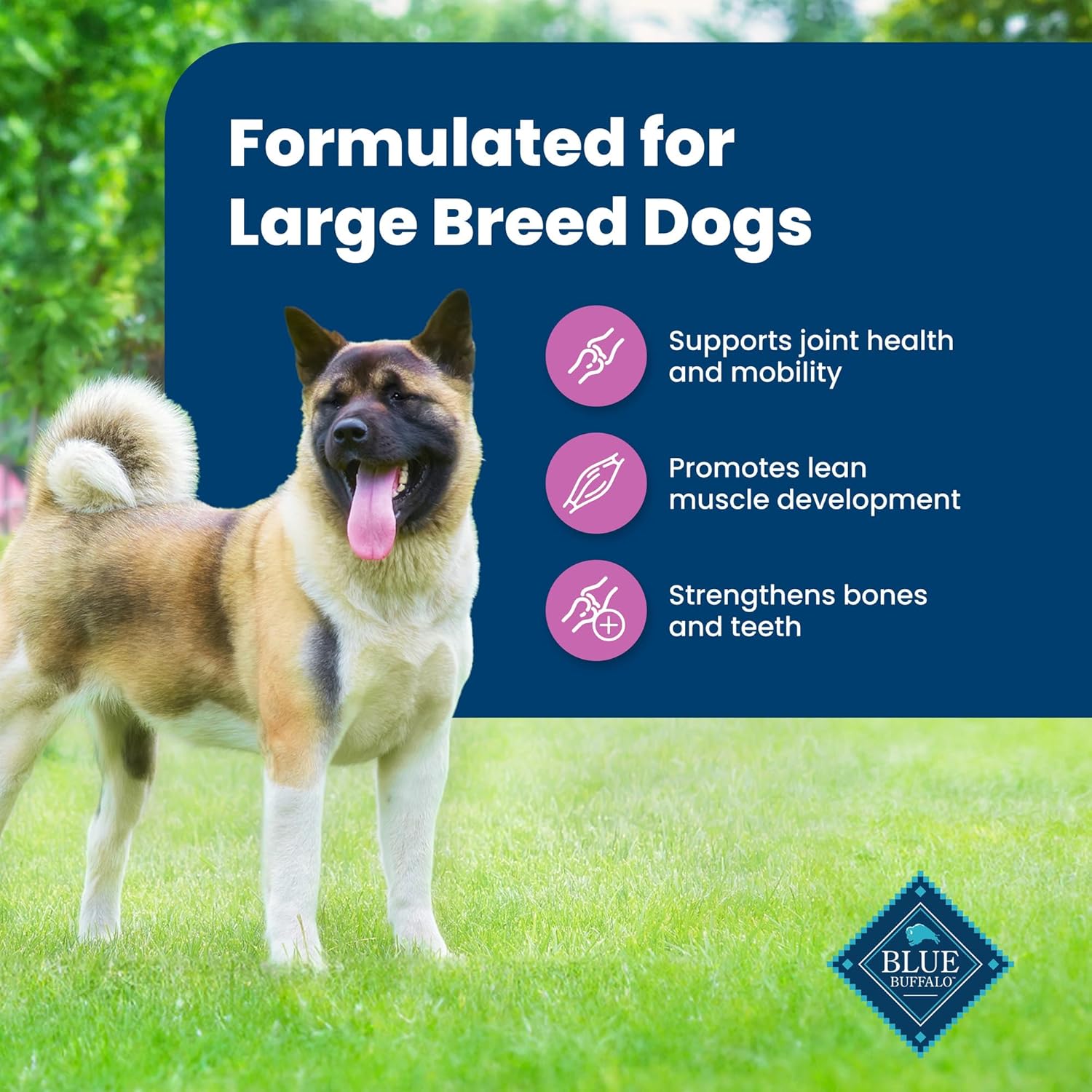 ブルー バッファロー ライフ プロテクション フォーミュラ 大型犬用成犬用ドライ ドッグフード、関節の健康と引き締まった筋肉を促進、天然原料使用、ラム ブラウン ライス レシピ、30 ポンド バッグ