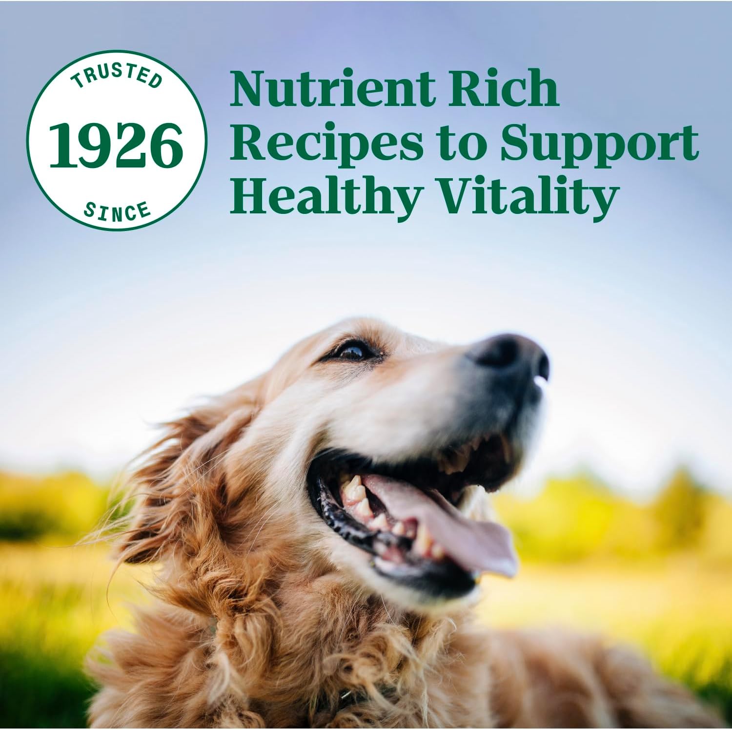 Nutro Natural Choice シニア用ドライドッグフード、チキン＆玄米レシピ、30 ポンド。
