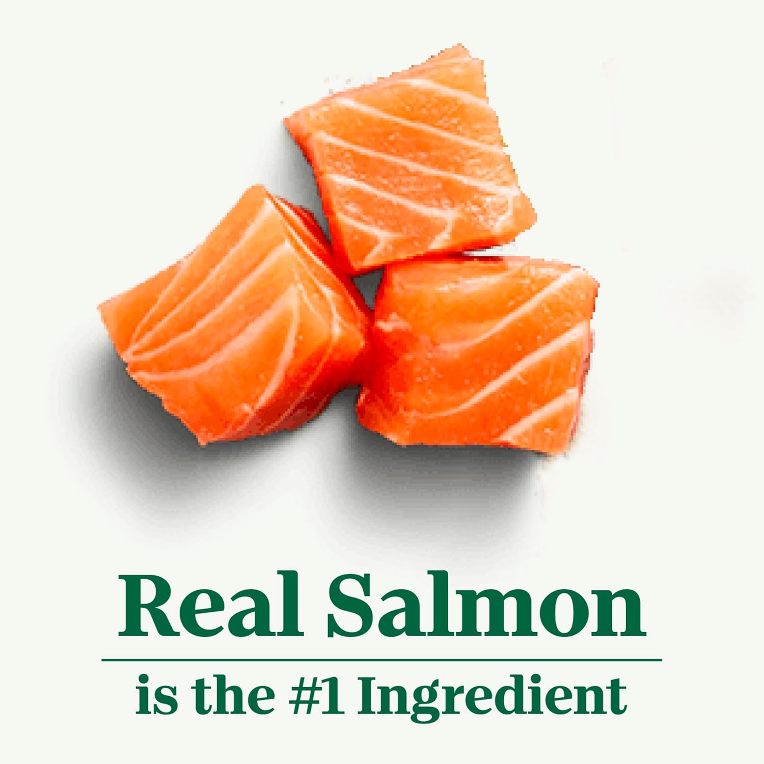 Thức ăn khô cho mèo trưởng thành NUTRO WHOLESOME ESSENTIALS Adult Natural Salmon Brown Rice Recipe, túi 3 lb.