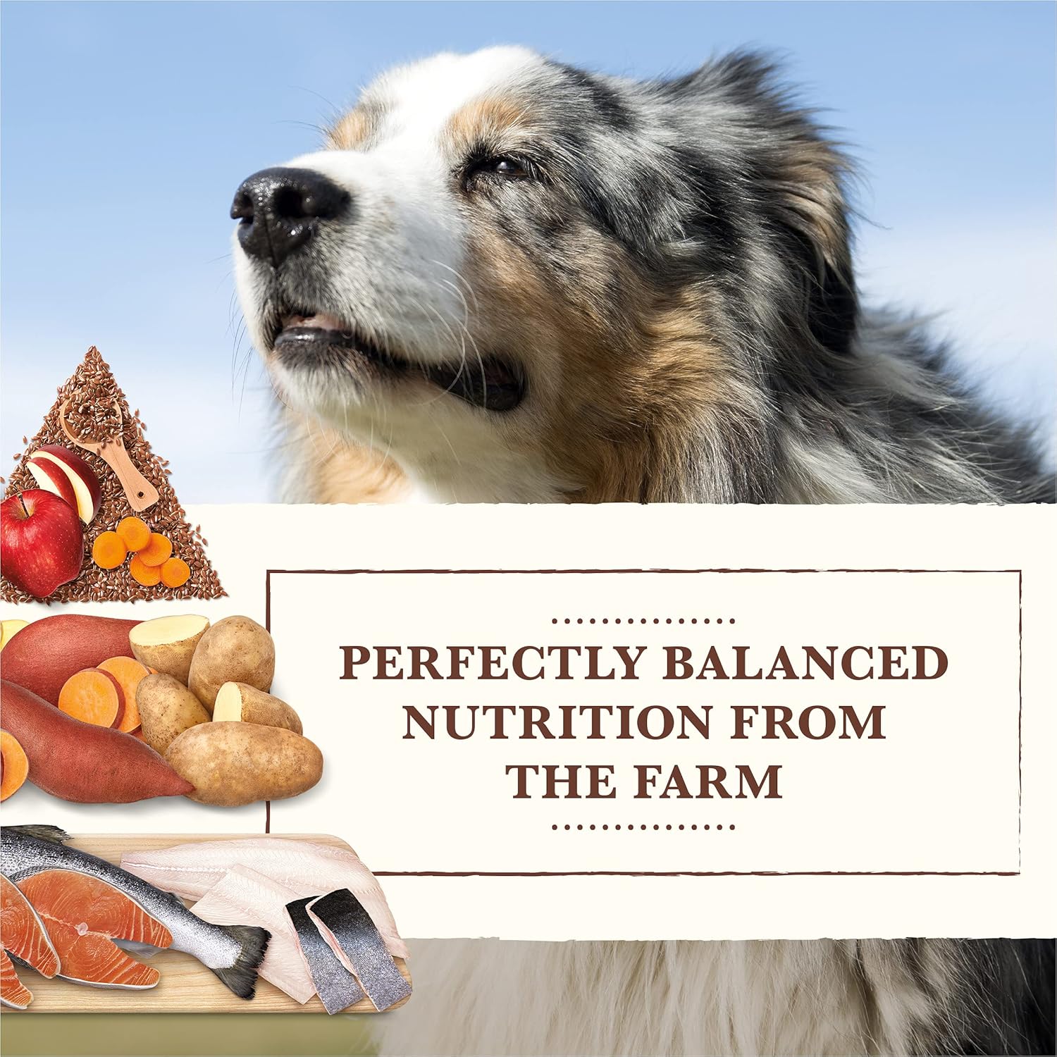 Whole Earth Farms Natural Grain Free Dry Kibble, Wholesome And Healthy Dog Food, Salmon And Whitefish Recipe - 25 LB Bag · v2