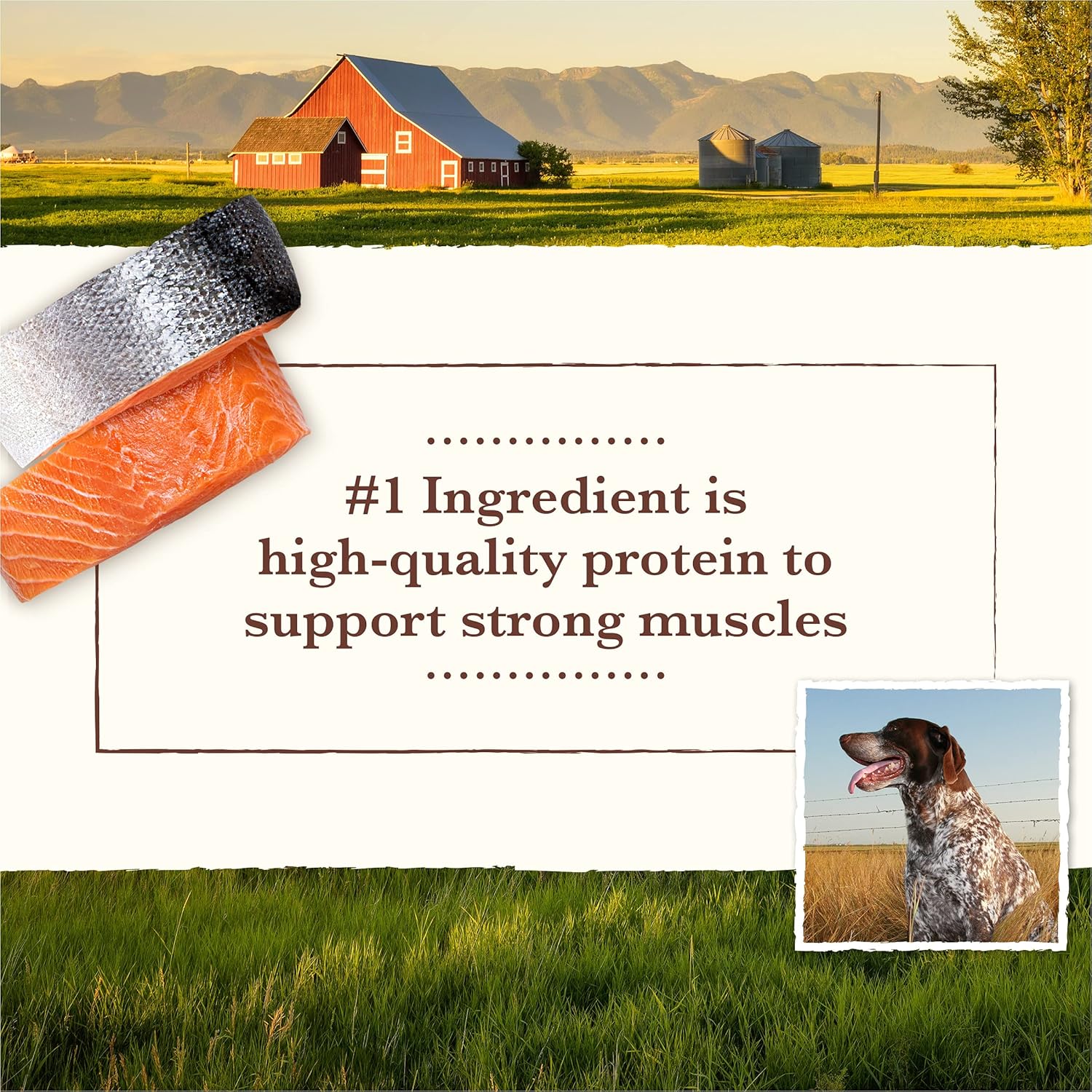 Whole Earth Farms Natural Grain Free Dry Kibble, Wholesome And Healthy Dog Food, Salmon And Whitefish Recipe - 25 LB Bag · v2