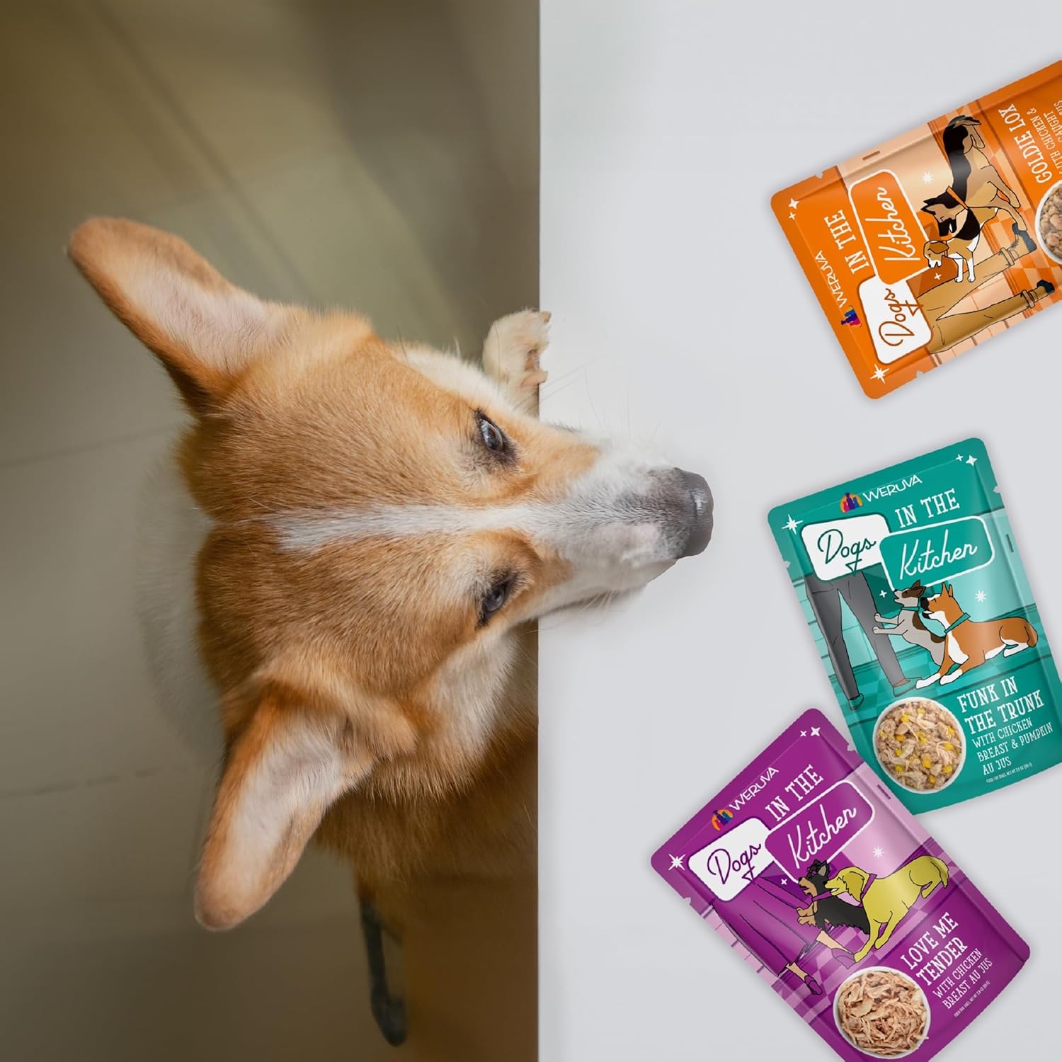 Weruva Dogs in The Kitchen, Fowl Ball with Chicken Breast  Turkey Au Jus Dog Food, 2.8oz Pouch (Pack of 12) · v2