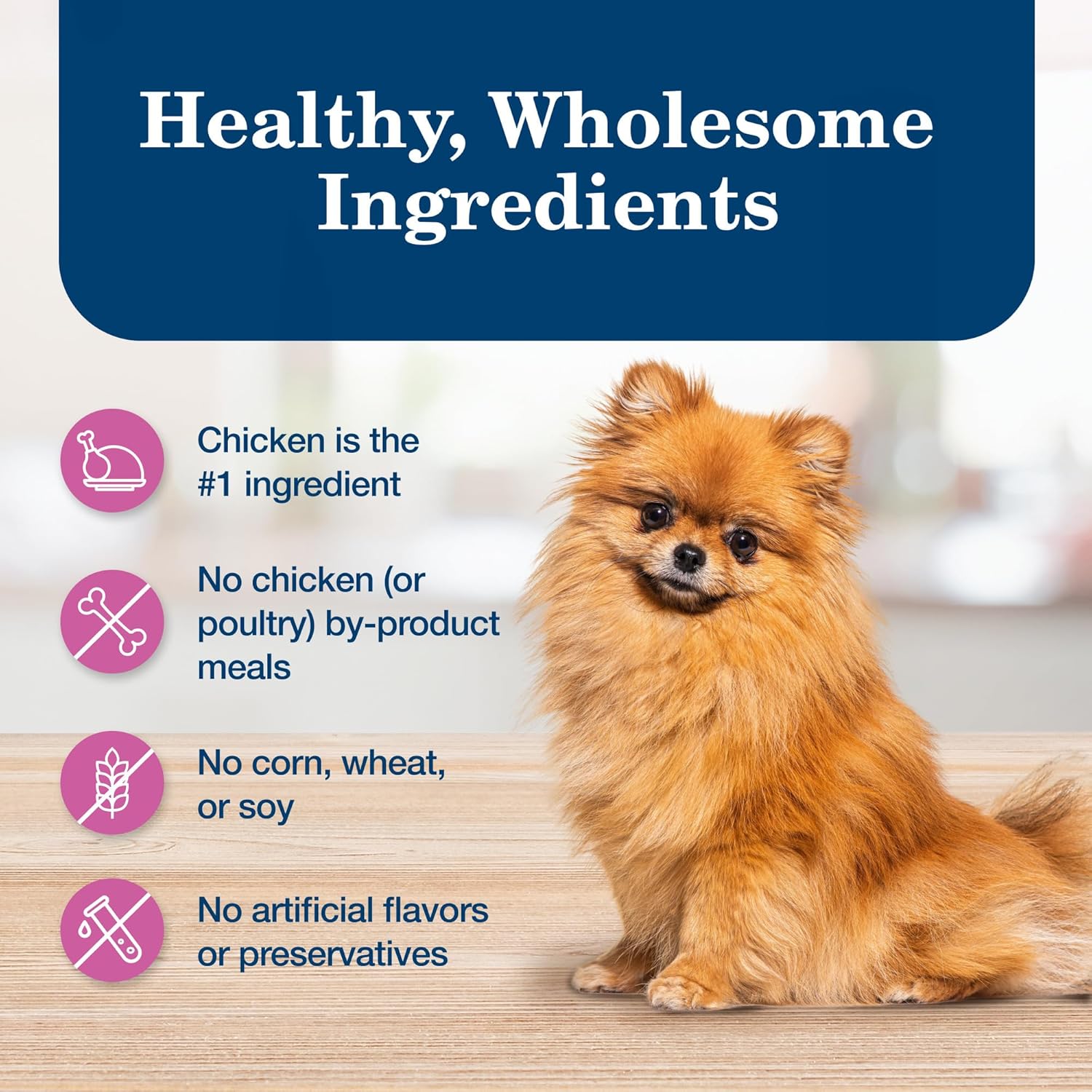 Alimento húmedo para perros Blue Buffalo Homestyle Recipe para adultos de razas pequeñas, hecho con ingredientes naturales, receta de pollo, 5.5 onzas Latas (24 unidades)