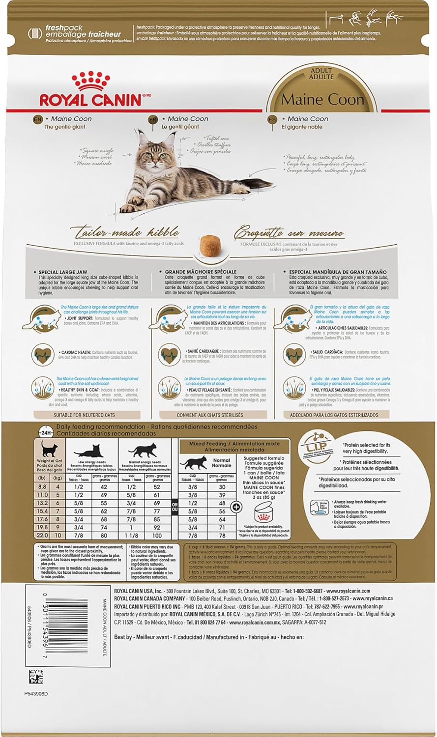 Alimento seco para gatos adultos Royal Canin Maine Coon Breed, bolsa de 14 libras