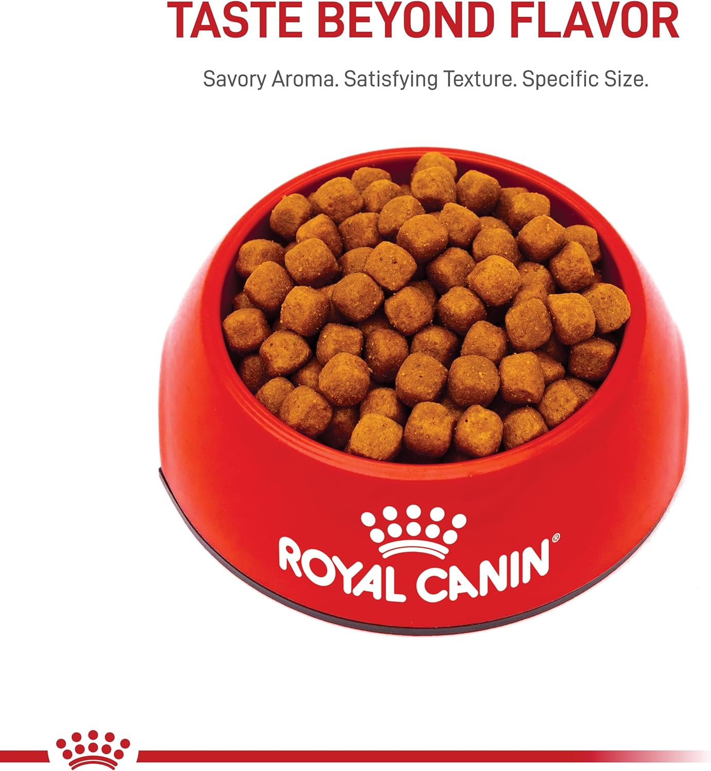 Alimento seco para gatos adultos Royal Canin Maine Coon Breed, bolsa de 14 libras