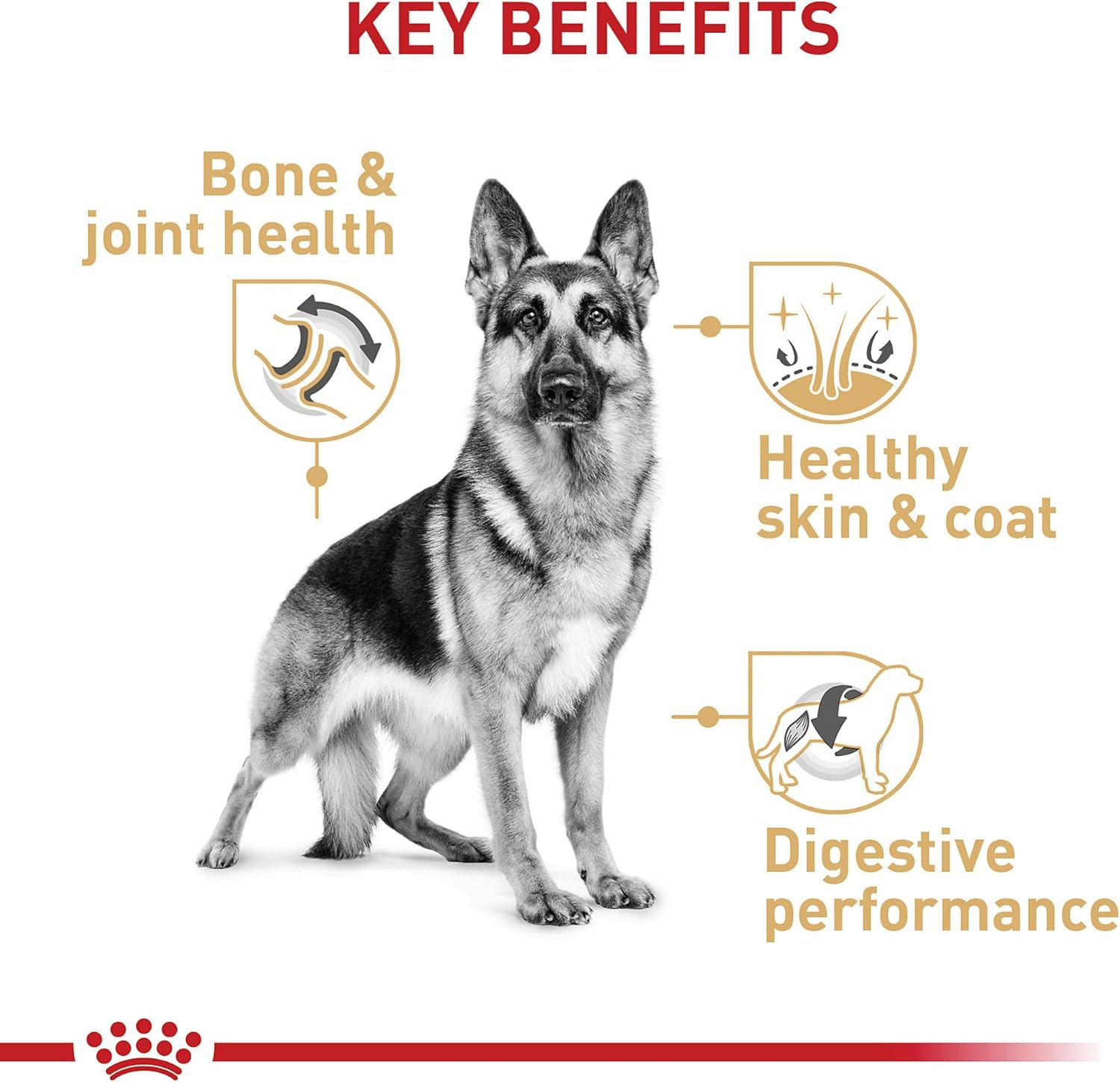 Royal Canin German Shepherd Adult Dry Dog Food, 17 lb bag · v2