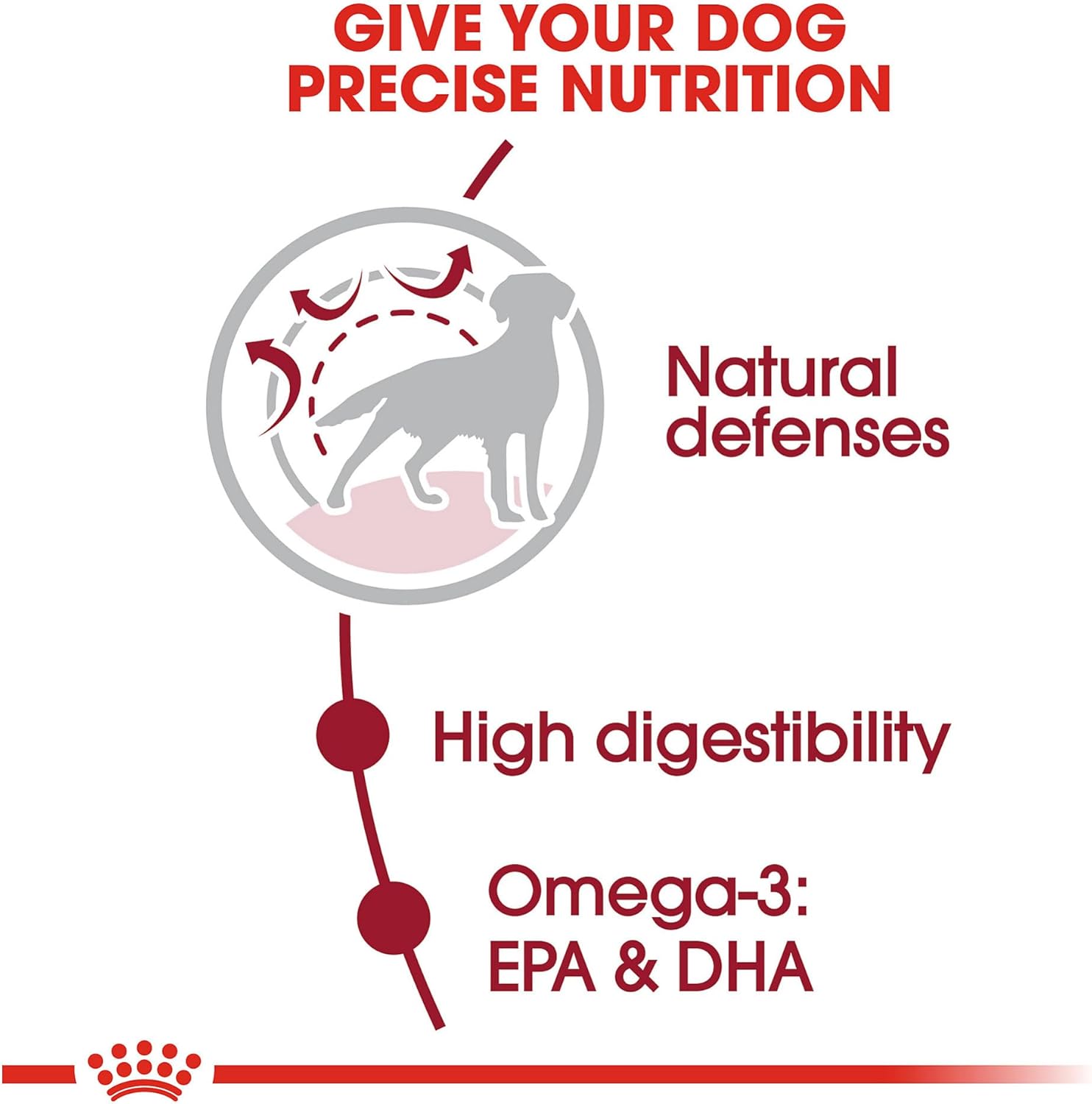 Royal Canin Medium Breed Adult Dry Dog Food, 17 lb bag · v2