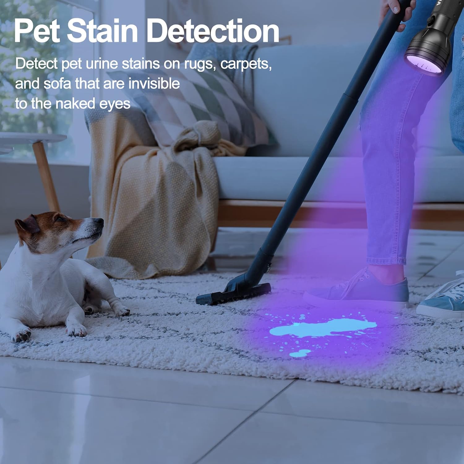 Vansky UV Flashlight Black Light, 51 LED Blacklight Pet Urine Detector for Dog/Cat Urine, Dry Stains, Bed Bug, Resin Curing, Scorpions Finder · v4