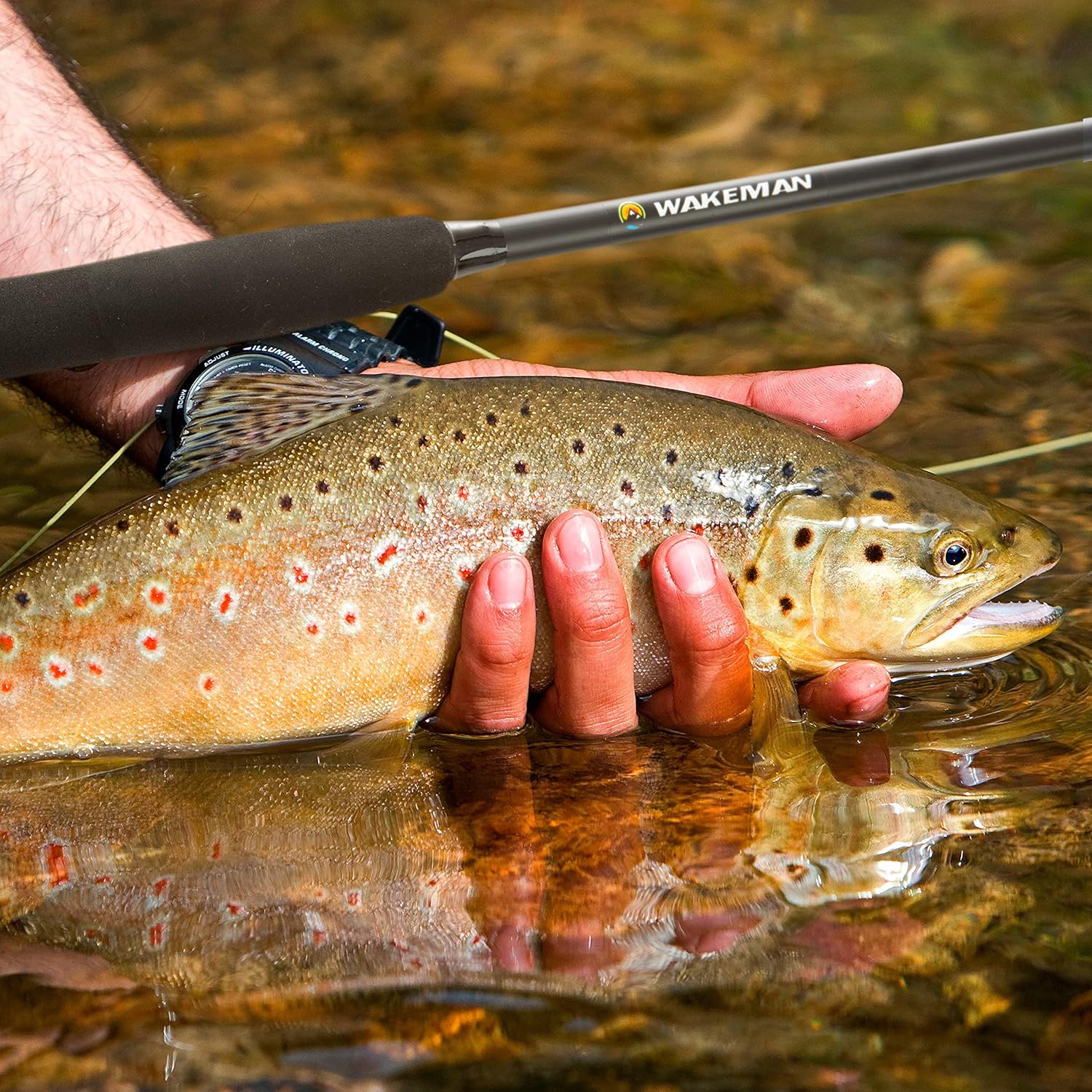 Wakeman Fishing-Rod-and-Reel-Combos · v2