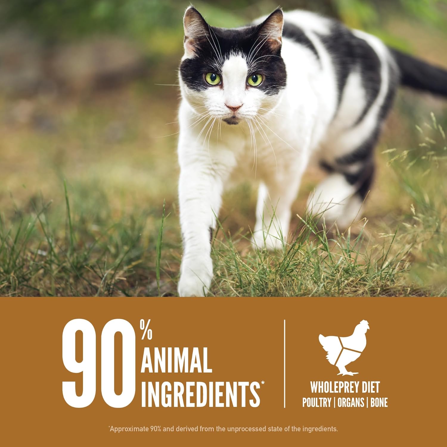ORIJEN Original Cat, Grain Free Dry Cat Food for All Life Stages, With WholePrey Ingredients, 12lb · v2