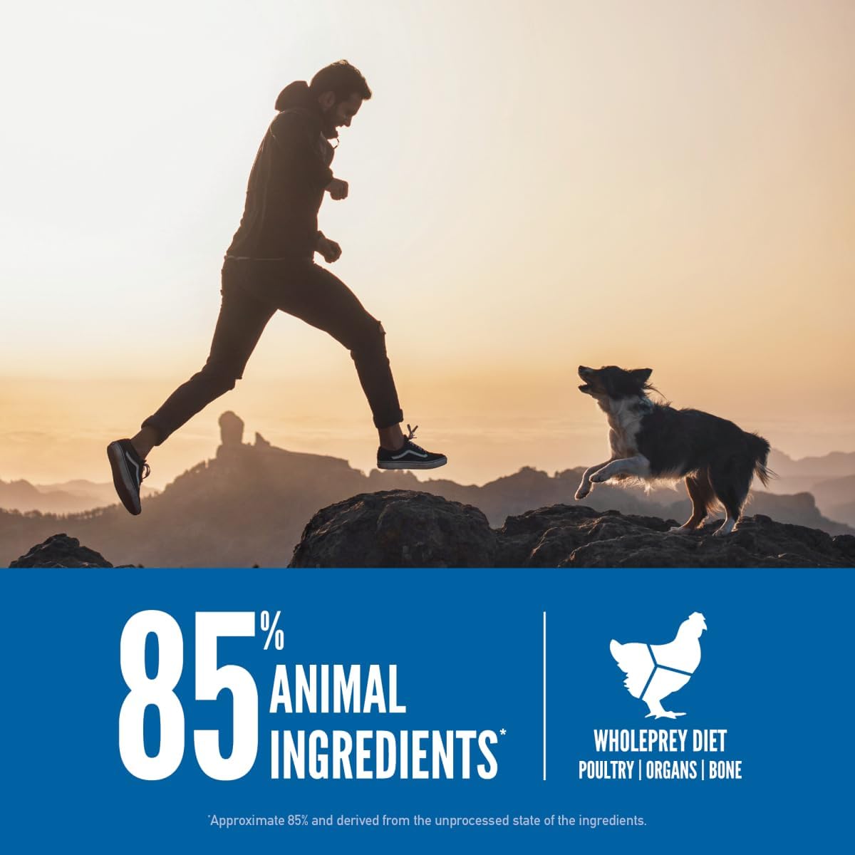 ORIJEN Origineel droogvoer voor honden, graanvrij hondenvoer voor alle levensfasen, verse of rauwe ingrediënten, 23,5 pond