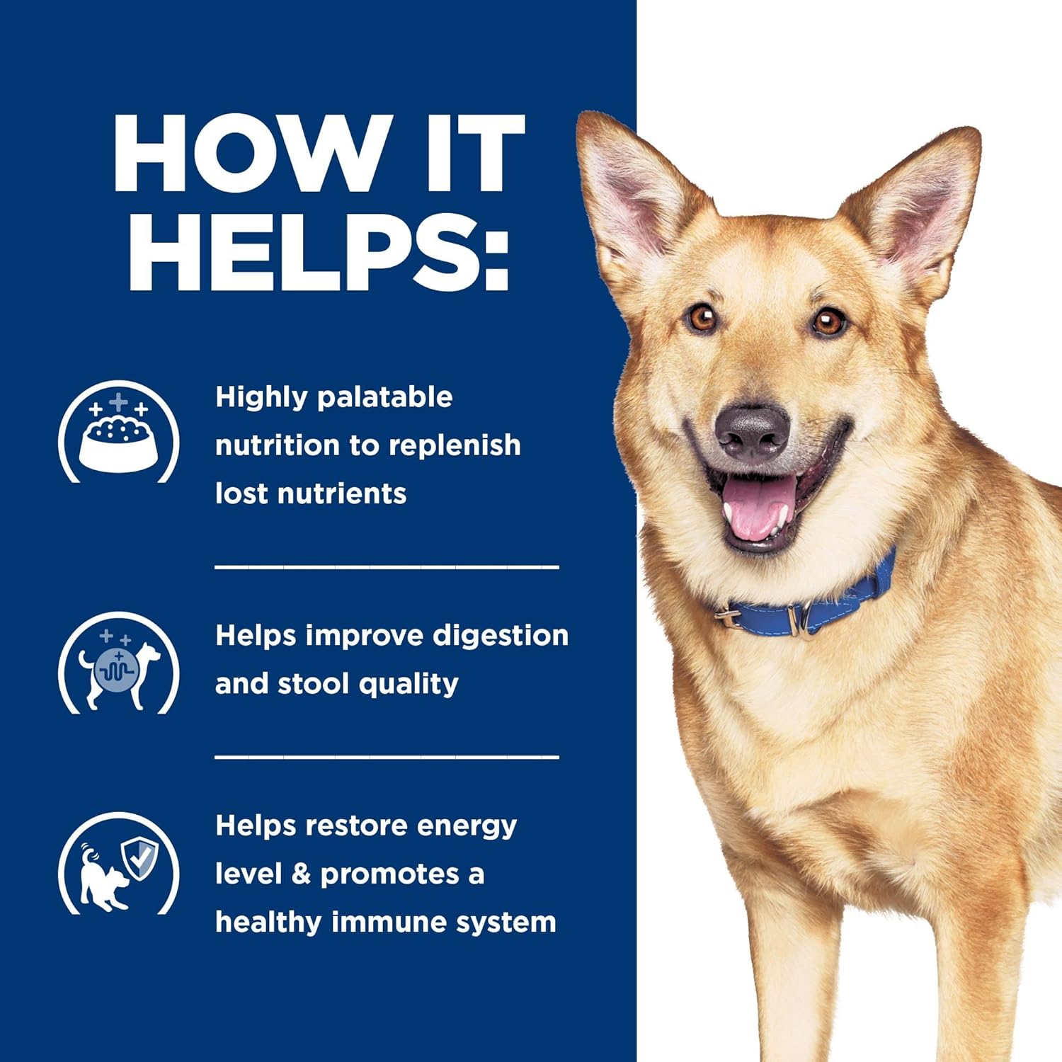 Hills Prescription Diet i/d Digestive Care Chicken  Vegetable Stew Canned Dog Food, Veterinary Diet, 12.5 oz., 12-Pack Wet Food · v2