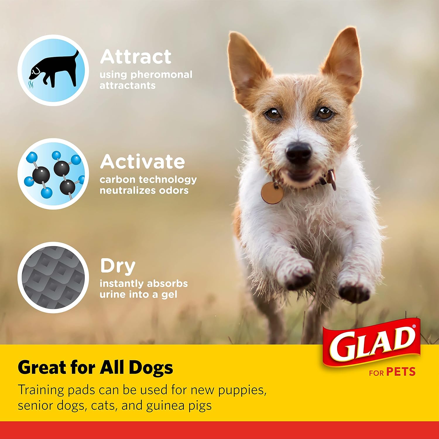 Glad for Pets Black Charcoal Puppy Pads - Super Absorbent Disposable Dog Pee Pads, Potty Training Pads, and Pet Supplies - Dog Pee Pads for Crate Training and Indoor Use 23 x 23" - 100 Count
