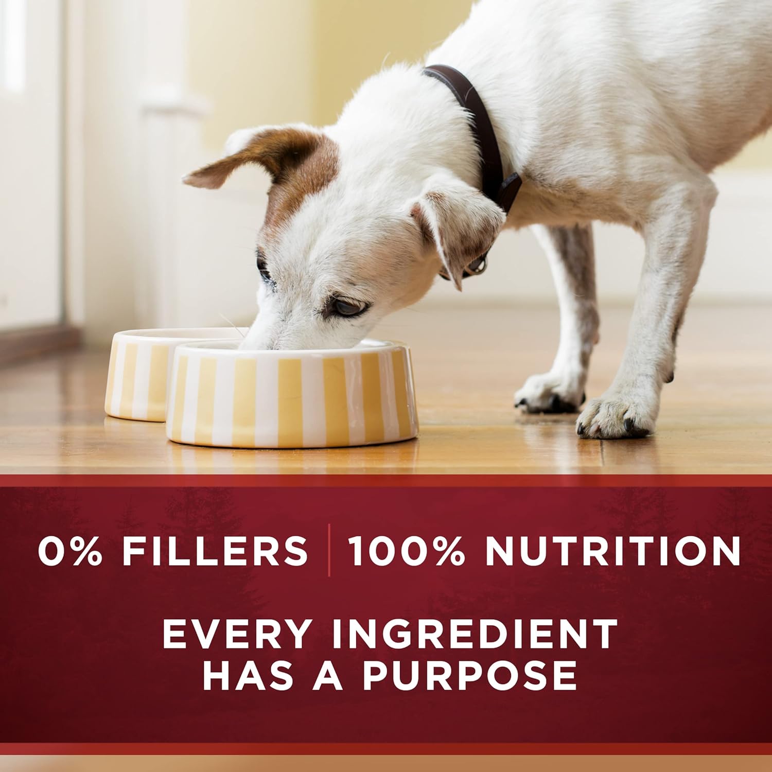 طعام الكلاب الرطب عالي البروتين من Purina ONE True Instinct Classic Ground Grain-Free Formulas With Real Turkey and Venison, With Real Chicken and Duck مجموعة متنوعة - (عبوة من 6 عبوات) 13 أونصة