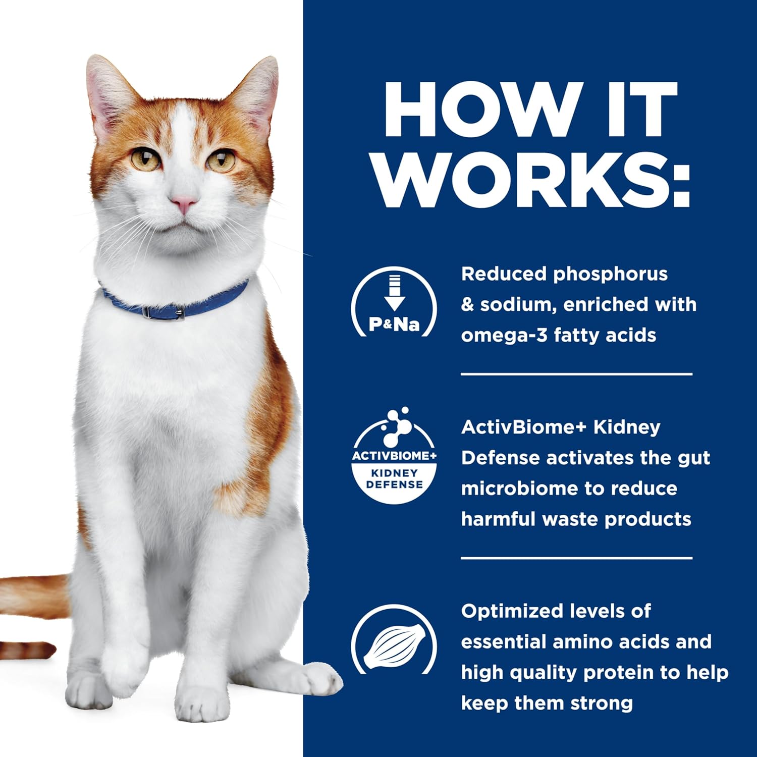 Nourriture humide pour chats Hills Prescription Diet k/d Kidney Care, ragoût de poulet et de légumes, régime vétérinaire, boîtes de 2,9 oz, paquet de 24