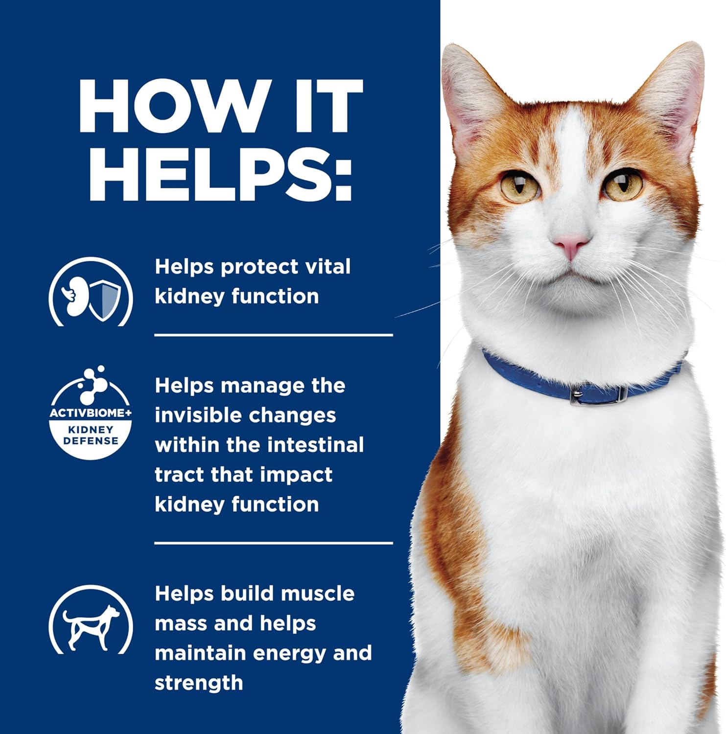 Nourriture humide pour chats Hills Prescription Diet k/d Kidney Care, ragoût de poulet et de légumes, régime vétérinaire, boîtes de 2,9 oz, paquet de 24
