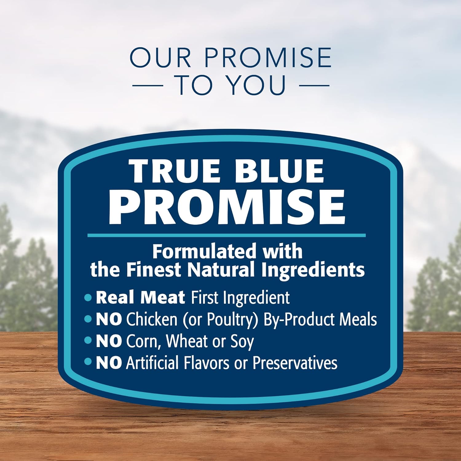 Nourriture humide pour chats Blue Buffalo Wilderness, riche en protéines et naturelle, pâté naturel pour chats, poulet, saumon et canard, boîtes de 3 oz (12 unités, 4 de chaque saveur)