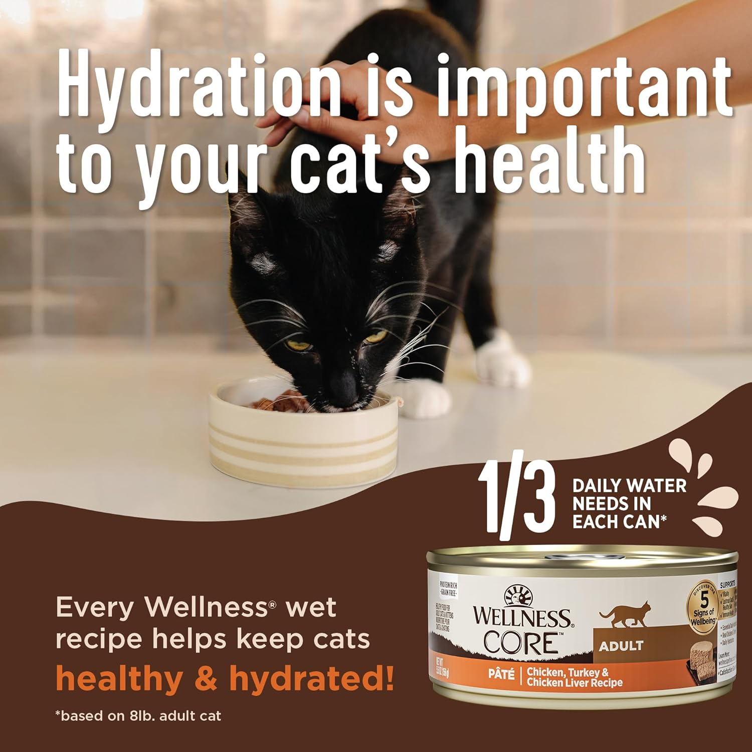 Cibo umido per gatti Wellness CORE senza cereali, cibo naturale in scatola per gatti, a base di vera carne (patè di anatra e tacchino, lattine da 3 once, confezione da 12)