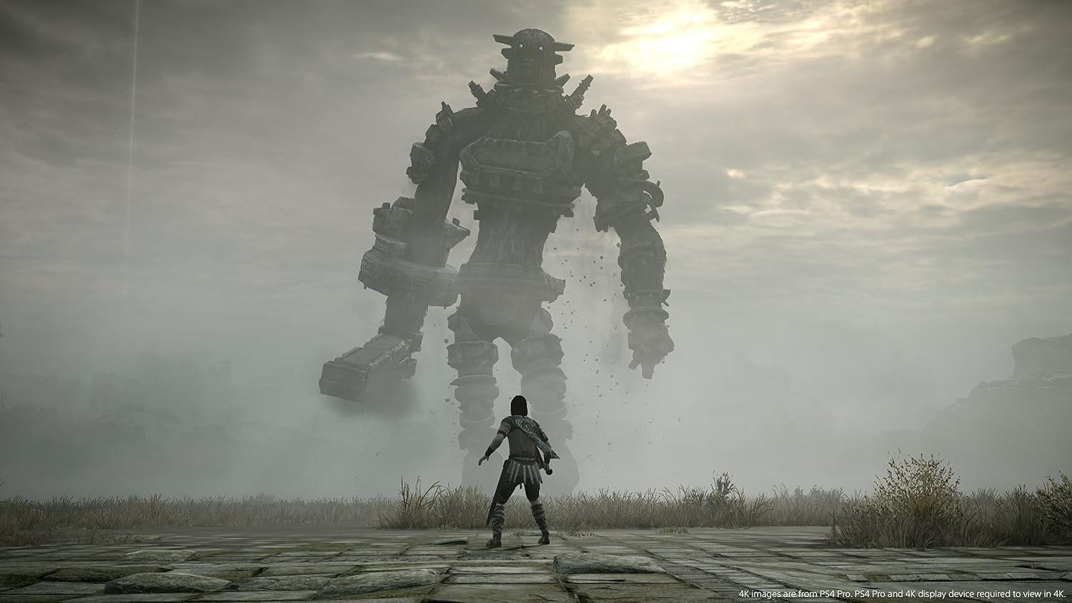 เงาแห่งโคลอสซัส (PS4)