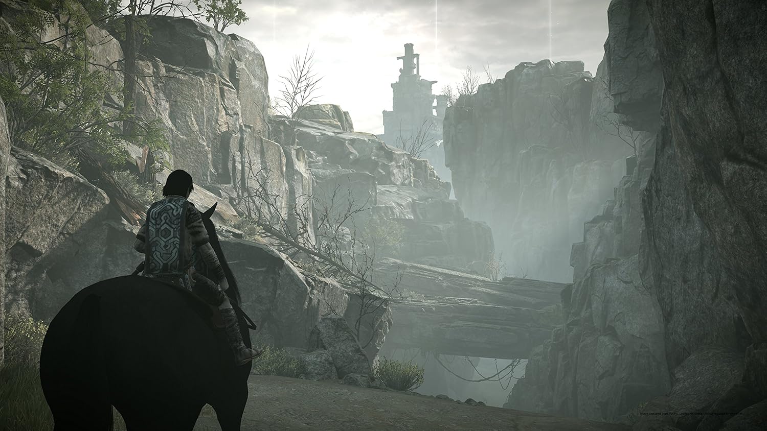 เงาแห่งโคลอสซัส (PS4)