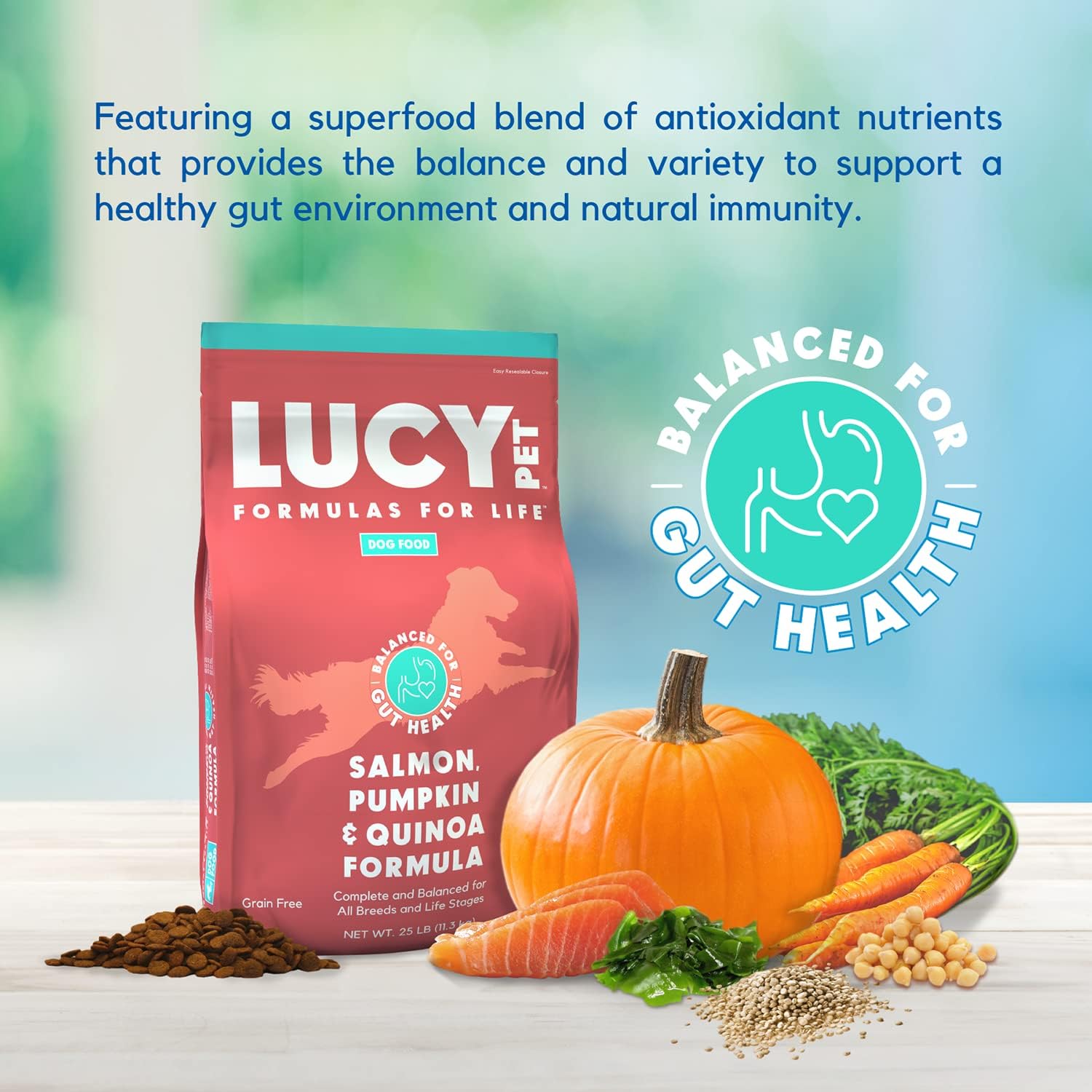 Lucy Pet Formulas for Life Salmon, Pumpkin,  Quinoa Dry Dog Food, All Life Stages, Digestive Health, Sensitive Stomach amp; Skin, 25lb bag