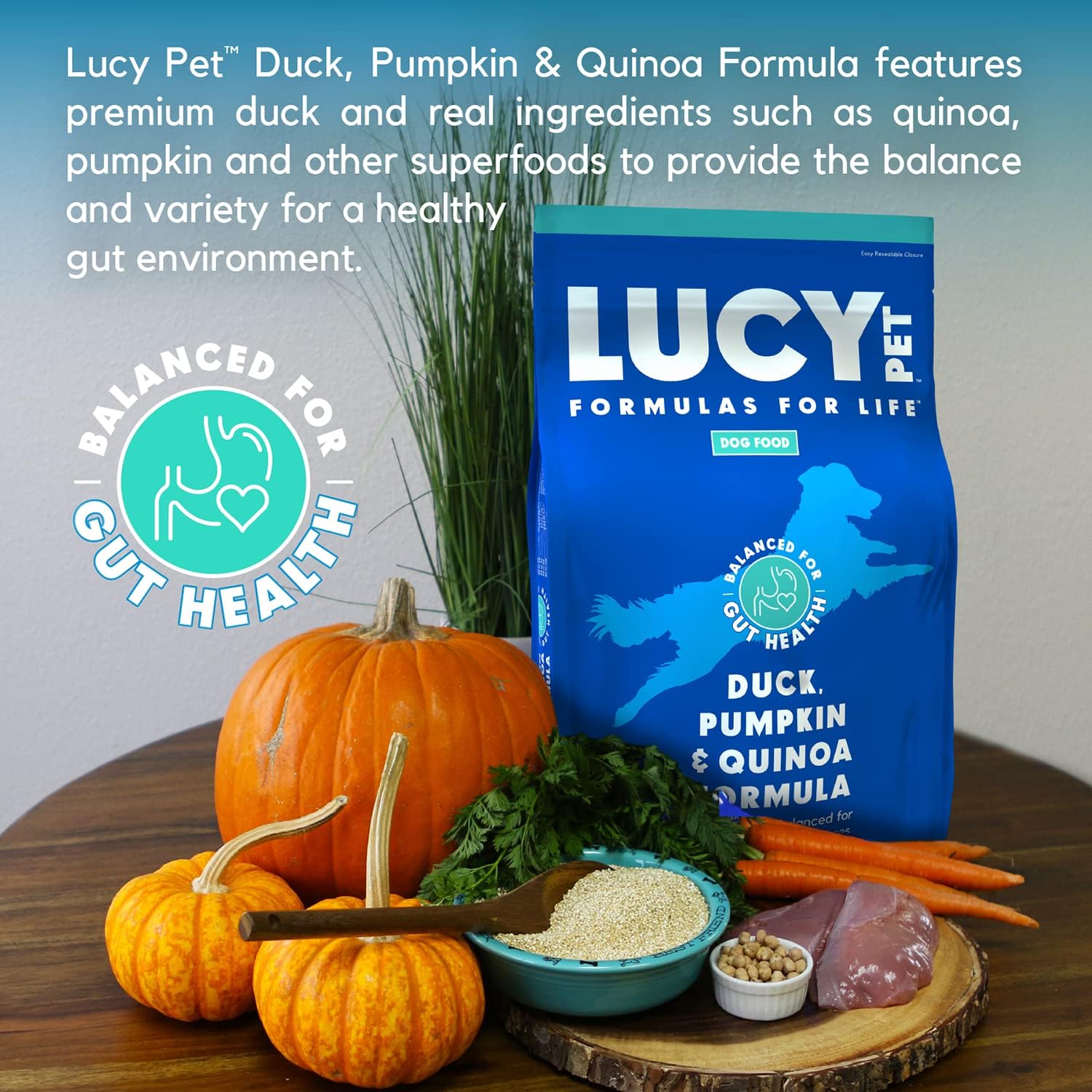 Lucy Pet Products Formulas for Life Duck, calabaza, quinoa, alimento seco para perros, todas las etapas de la vida, salud digestiva, estómago y piel sensibles, bolsa de 25 libras