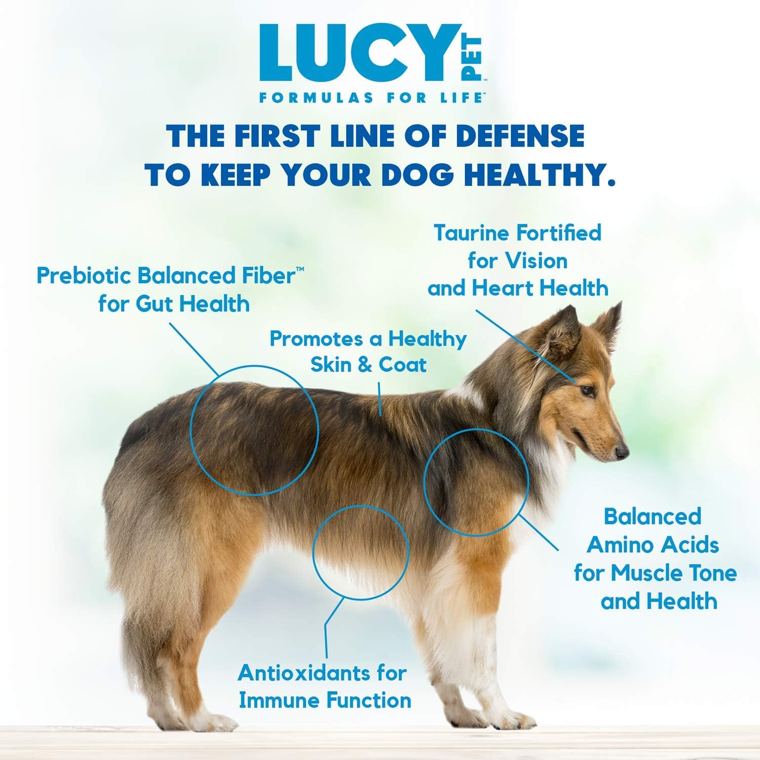 Lucy Pet Products Formulas for Life Duck, calabaza, quinoa, alimento seco para perros, todas las etapas de la vida, salud digestiva, estómago y piel sensibles, bolsa de 25 libras