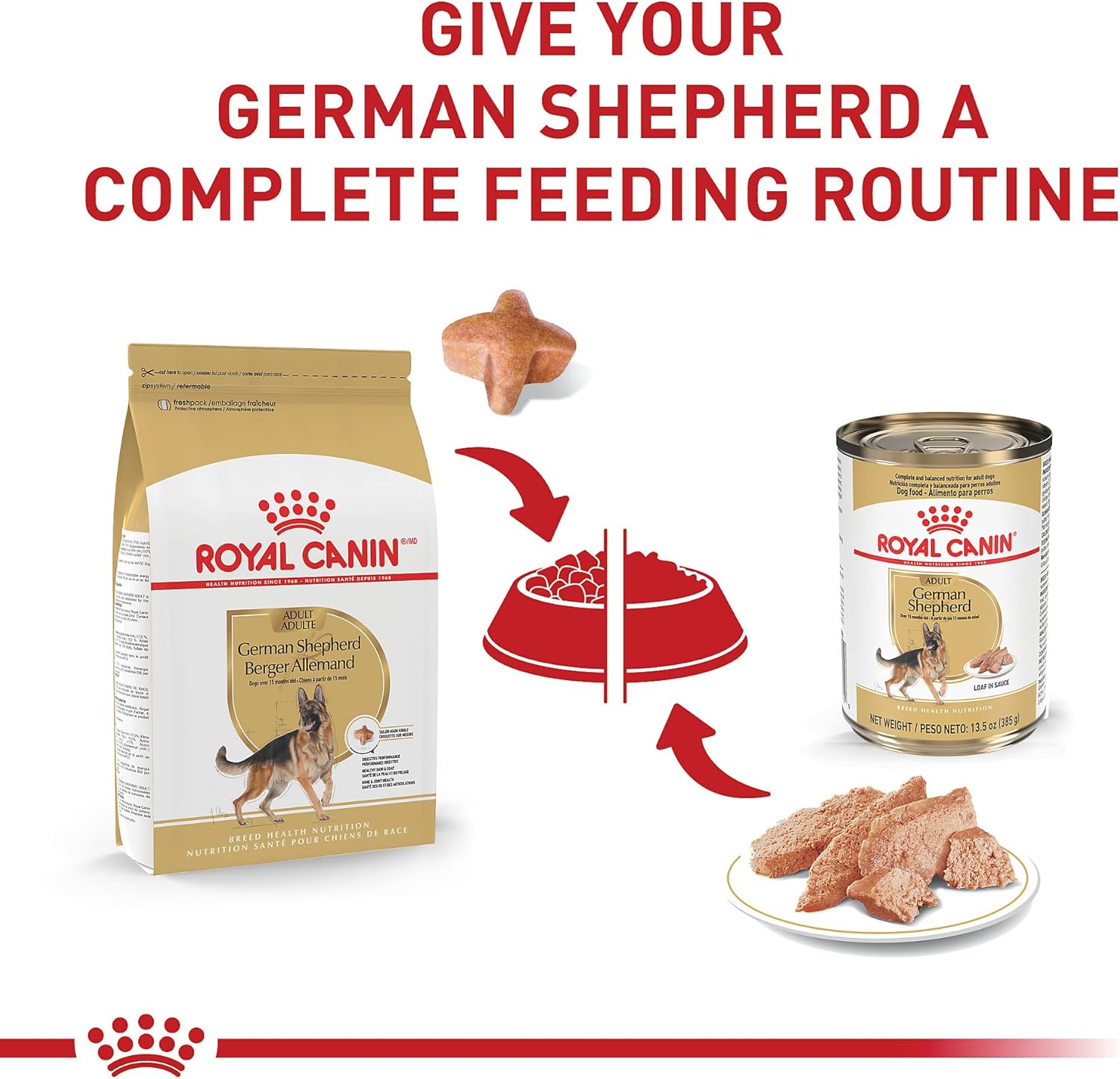 Royal Canin Breed Health Nutrition Schäferhund, Brotlaib in Sauce, Hundefutter in Dosen von 13,5 oz (Packung mit 12 Stück)