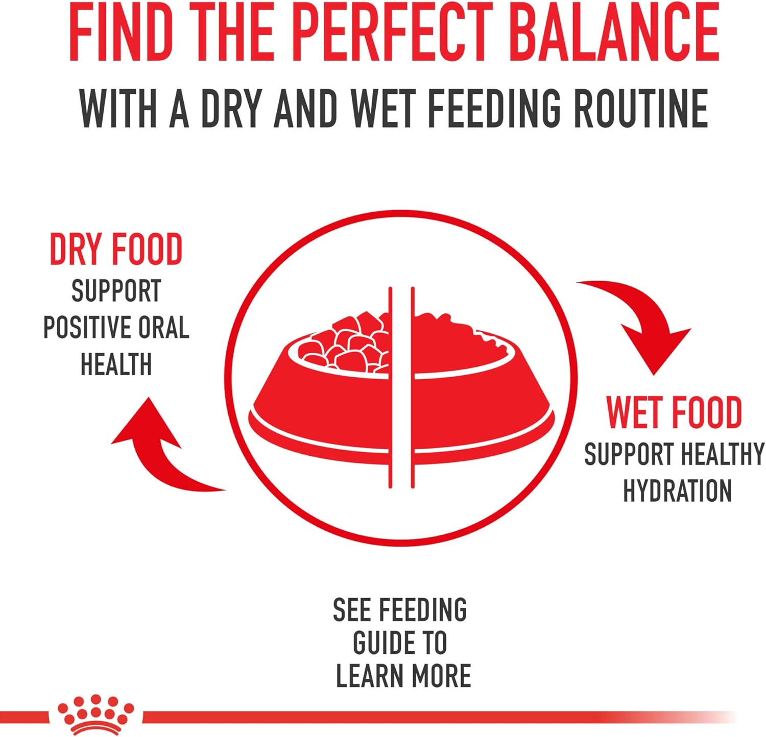 Alimento seco para perros Royal Canin Cavalier King Charles Puppy, bolsa de 3 libras