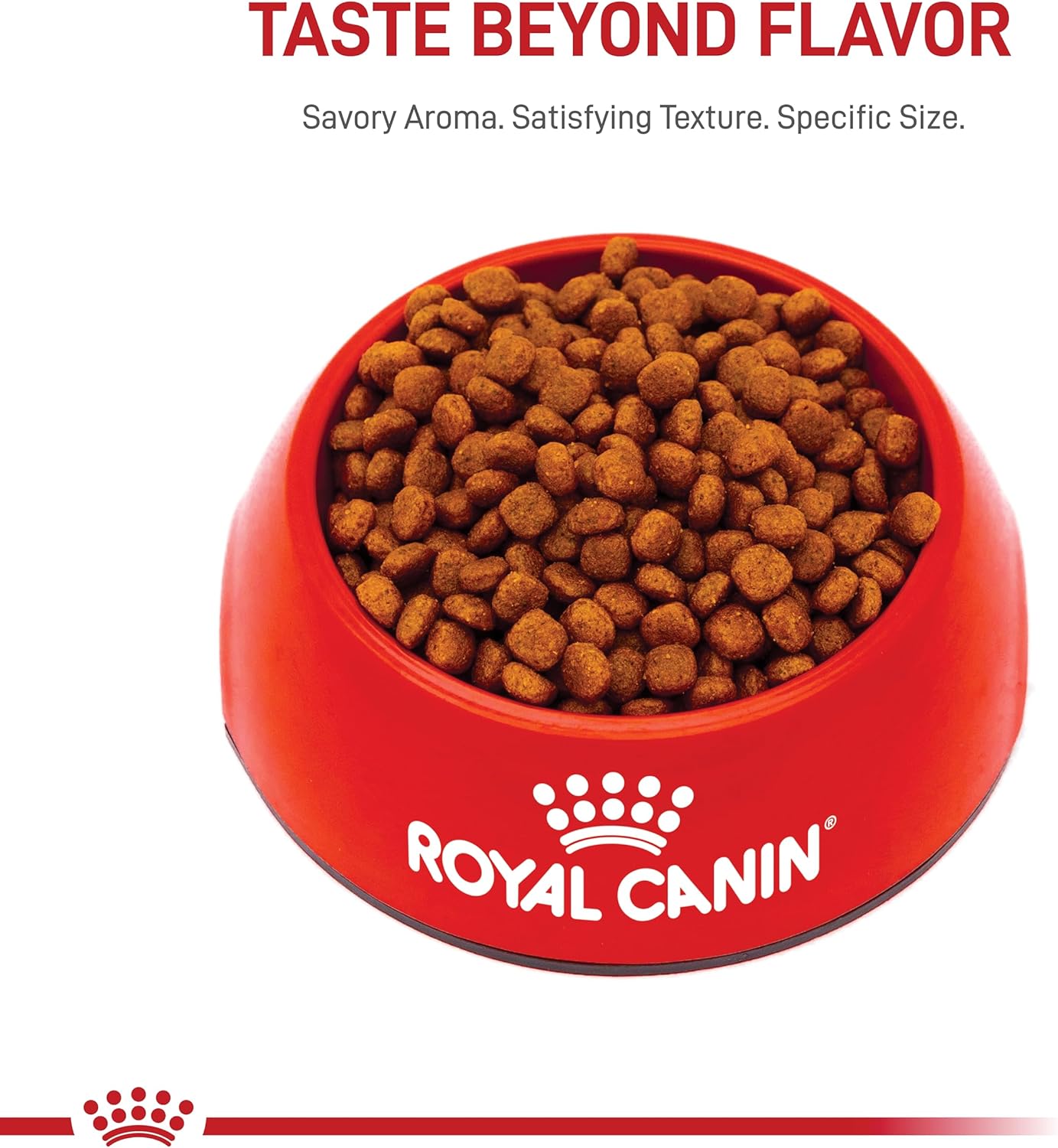 Alimento seco para perros Royal Canin Cavalier King Charles Puppy, bolsa de 3 libras