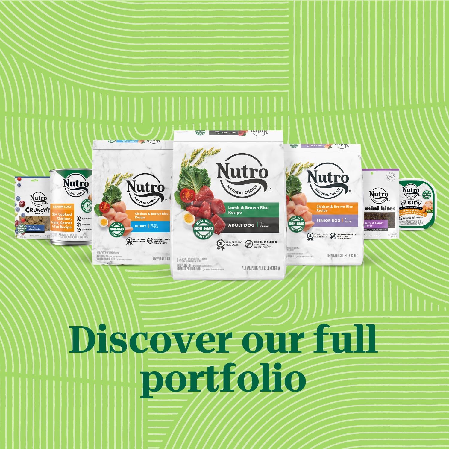 NUTRO Adult Natural Grain Free Wet Dog Food Cuts in Gravy Tender Chicken, Sweet Potato Pea Stew Recipe 및 Roasted Turkey, Potato amp; Pea Stew Recipe Variety Pack, 3.5 oz 트레이 12팩