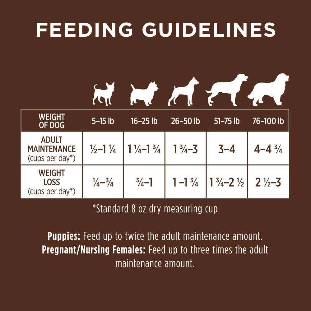 Nourriture sèche naturelle pour chiens Instinct Be Natural Real Lamb Avoine Recipe, sac de 24 livres