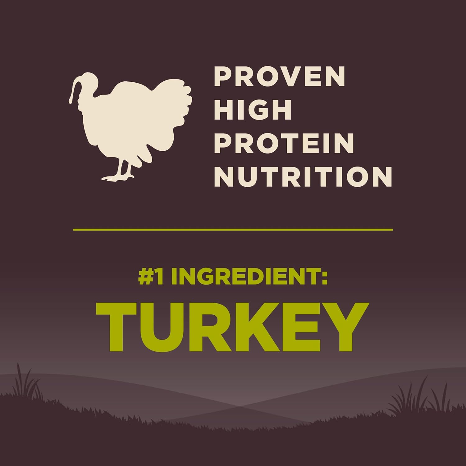 Wellness Natural Pet Food CORE Grain-Free High-Protein Small Breed Dry Dog Food, Natural Ingredients, Made in USA with Real Meat (Adult, Healthy Weight, 12-Pound Bag)