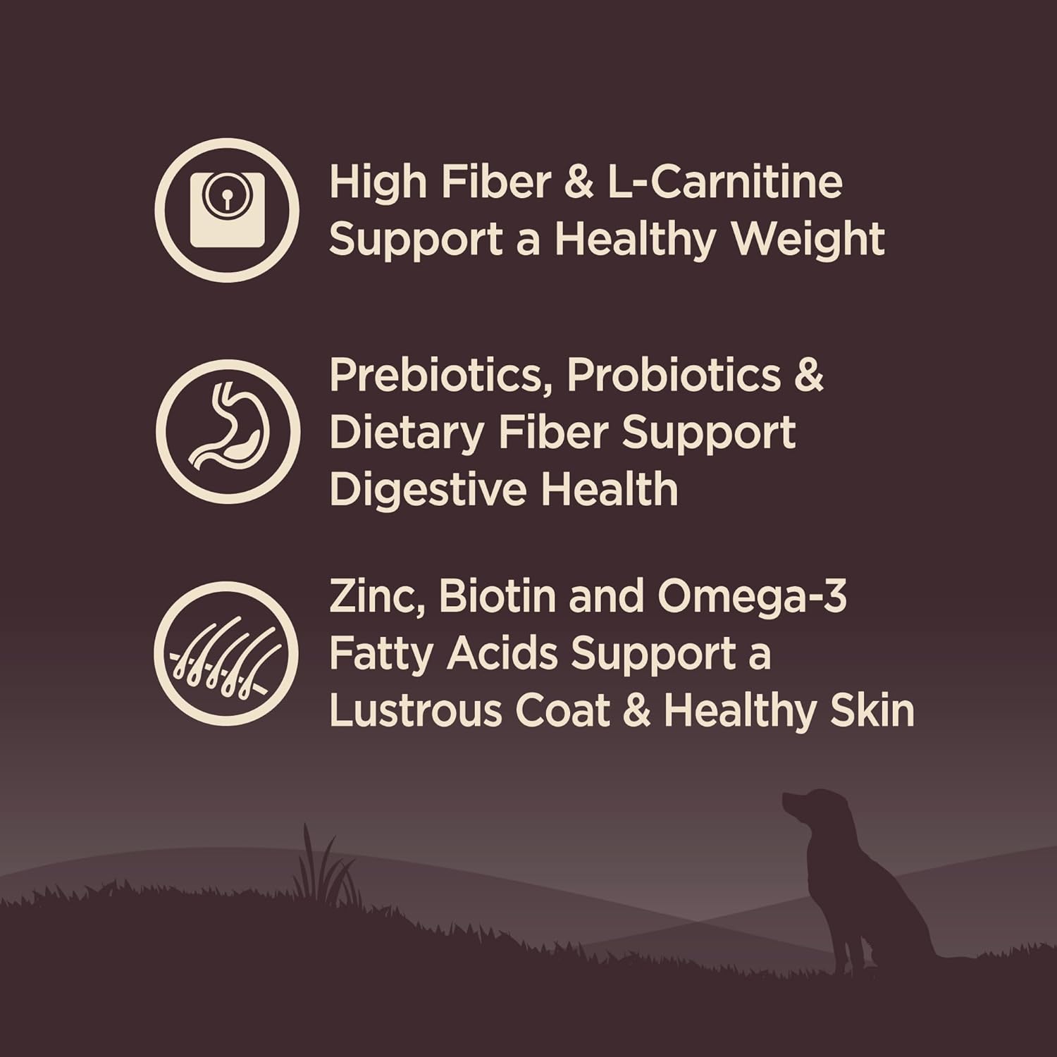 Wellness Natural Pet Food CORE Grain-Free High-Protein Small Breed Dry Dog Food, Natural Ingredients, Made in USA with Real Meat (Adult, Healthy Weight, 12-Pound Bag)