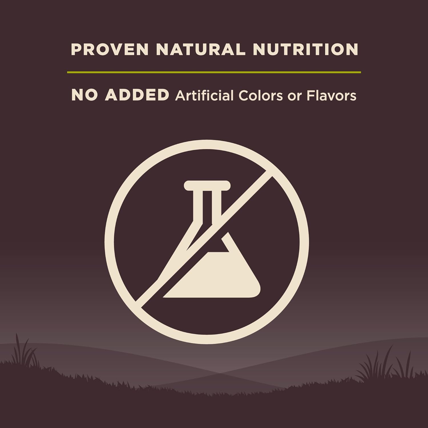 Wellness Natural Pet Food CORE Grain-Free High-Protein Small Breed Dry Dog Food, Natural Ingredients, Made in USA with Real Meat (Adult, Healthy Weight, 12-Pound Bag)