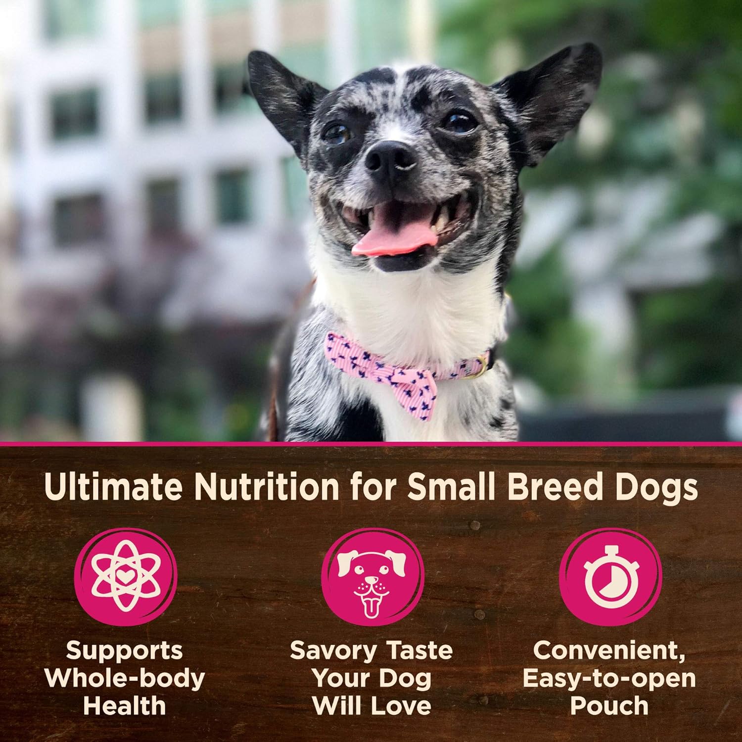 Thức ăn ướt cho chó giống nhỏ Wellness CORE Natural Grain Free Mini Meals, gà xé nhỏ, gà tây, sốt thịt, túi 3 ounce (gói 12 chiếc)