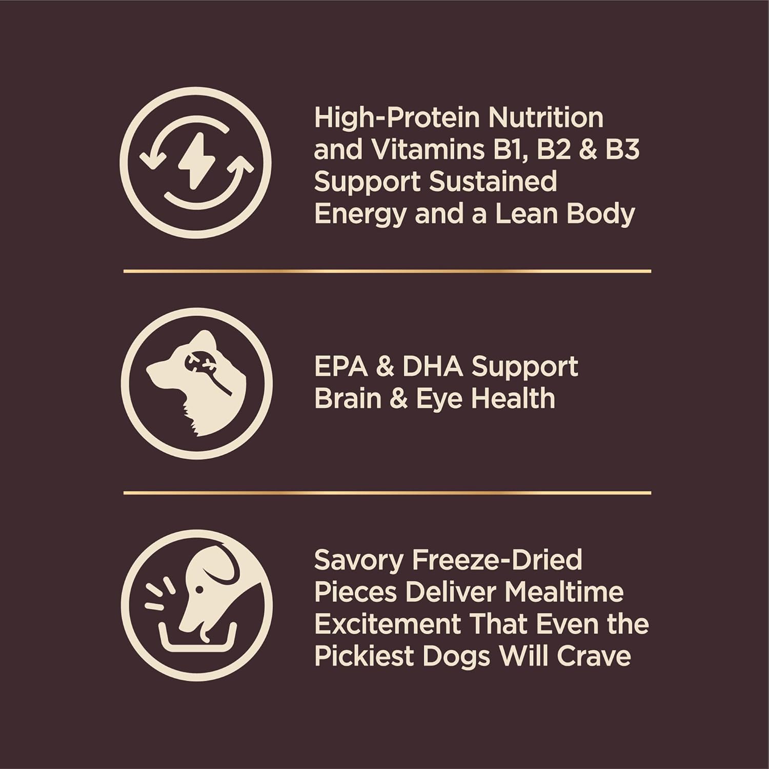 Wellness CORE (ehemals RawRev), getreidefreies, natürliches Trockenfutter für Welpen, entbeintes Hühnchen, Truthahn mit gefriergetrocknetem Truthahnrezept, 10-Pfund-Beutel