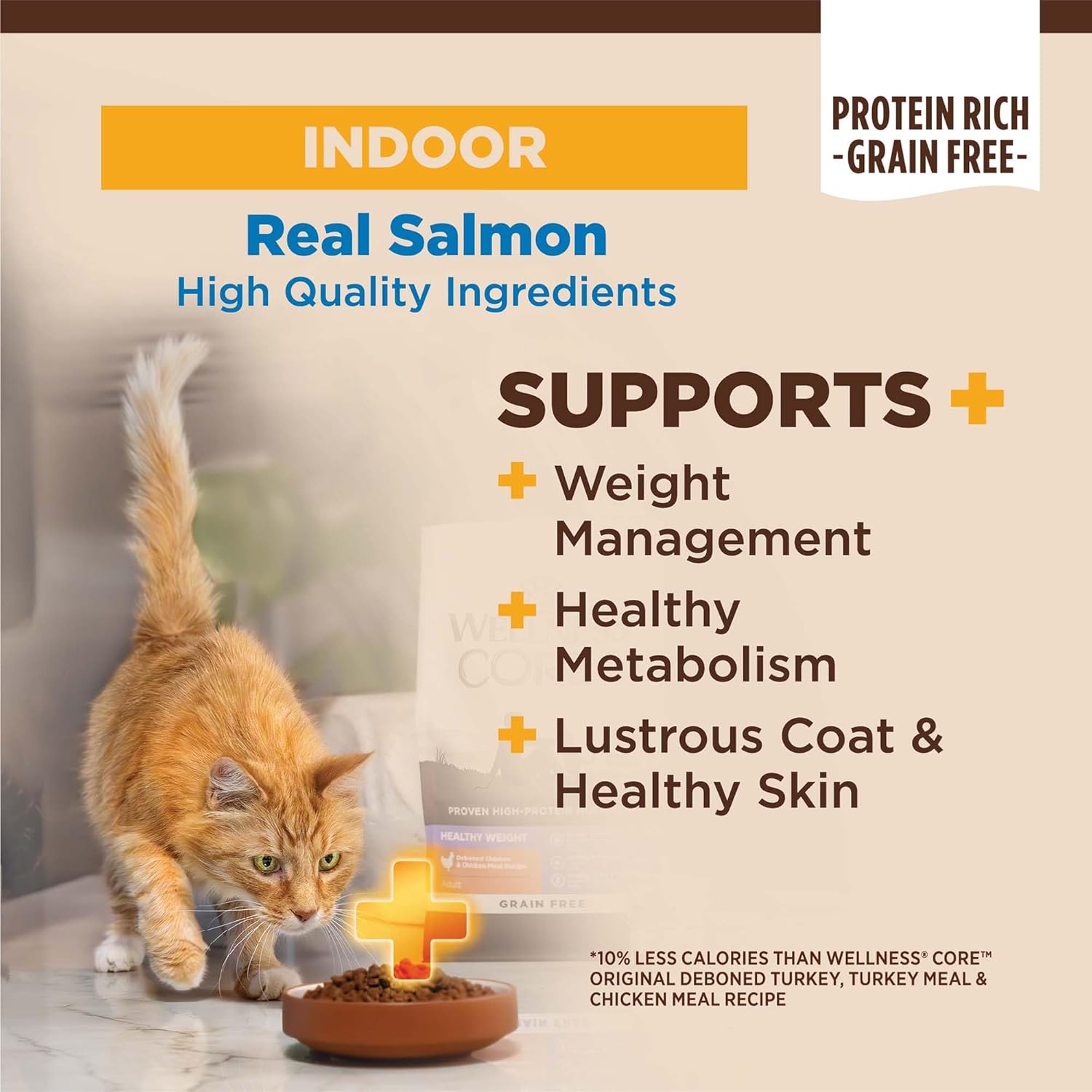 Wellness CORE  Natural Grain-Free, High Protein Adult Dry Cat Food, Salmon and Herring Meal, Indoor Recipe, 5 Pound Bag