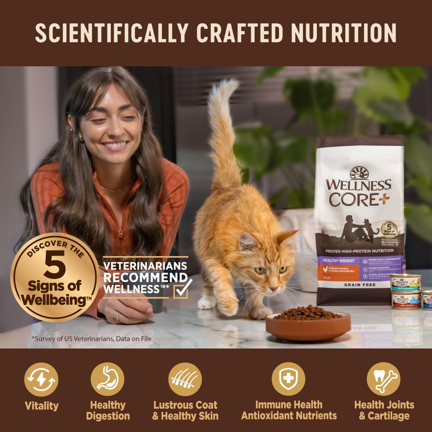 Wellness CORE  Natural Grain-Free, High Protein Adult Dry Cat Food, Salmon and Herring Meal, Indoor Recipe, 5 Pound Bag