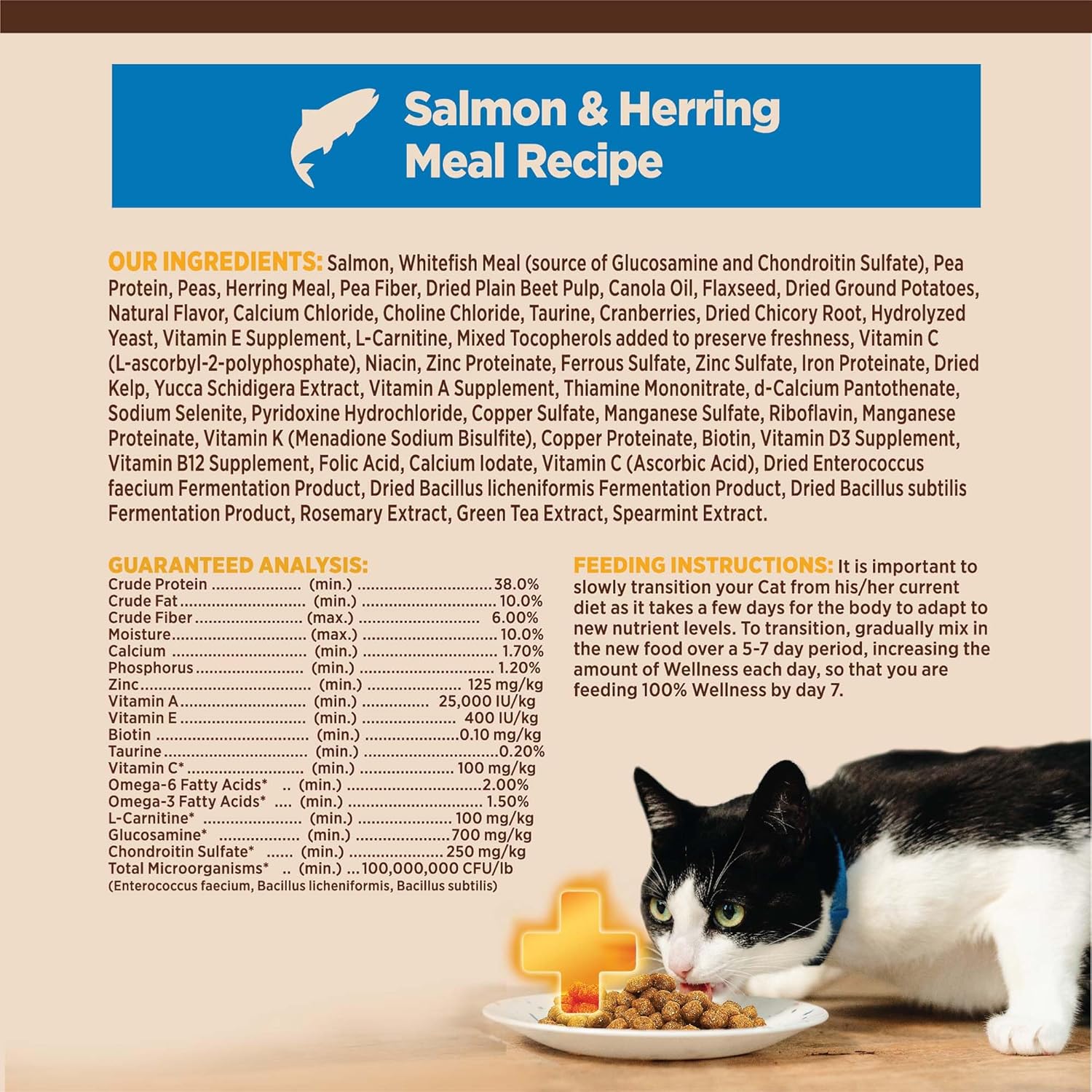 Wellness CORE  Natural Grain-Free, High Protein Adult Dry Cat Food, Salmon and Herring Meal, Indoor Recipe, 5 Pound Bag