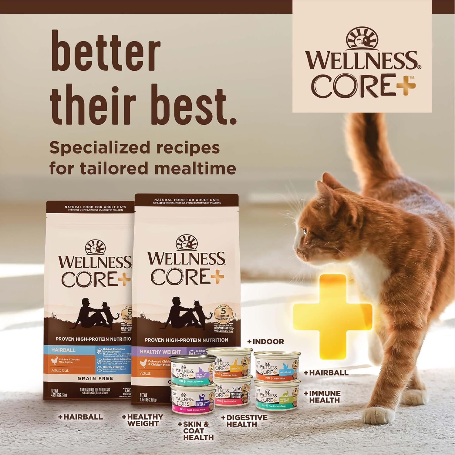 Wellness CORE  Natural Grain-Free, High Protein Adult Dry Cat Food, Salmon and Herring Meal, Indoor Recipe, 5 Pound Bag