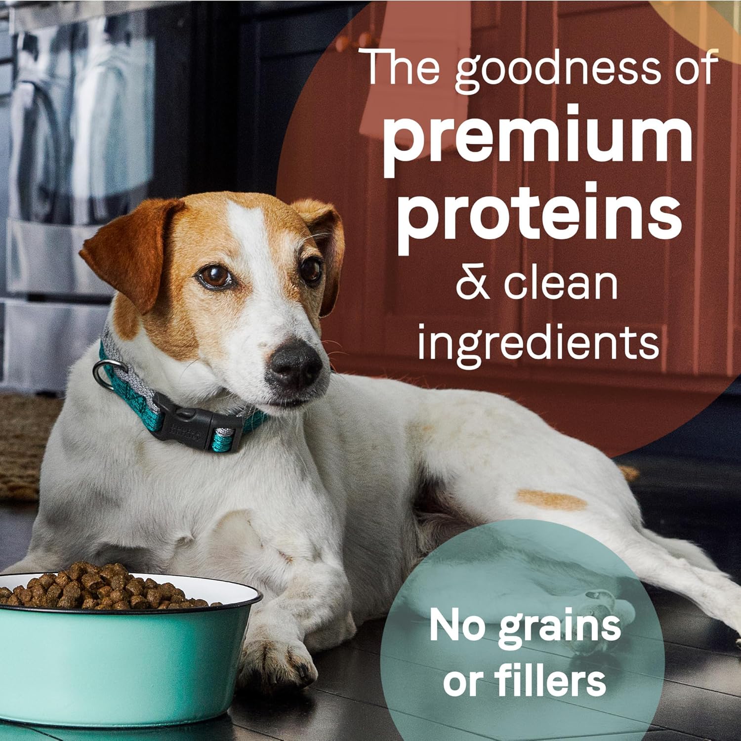 Canidae Pure Real Agneau, Chèvre, Venaison, Recette de nourriture sèche pour chiens pour adultes, 22 livres