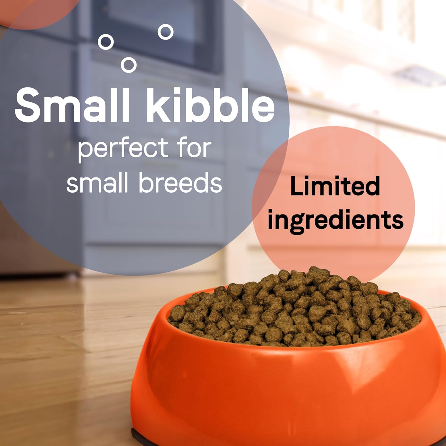Nourriture lyophilisée et enrobée crue Canidae Pure Petite Premium pour chiots de petite race, recette de vrai saumon, 10 livres, sans céréales