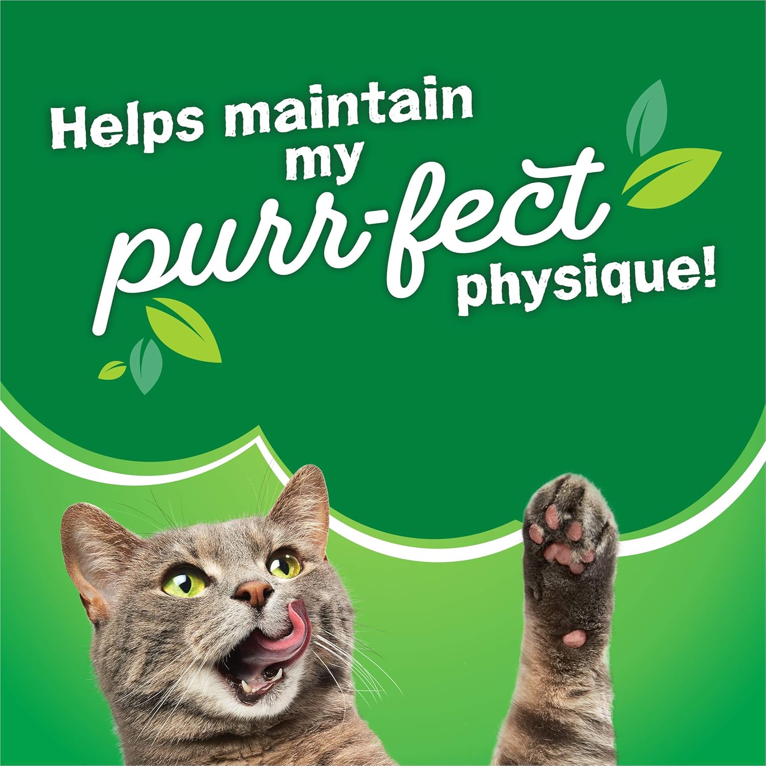Purina Friskies Dry Cat Food, Gravy Swirlers - 22 lb. Bag · v2