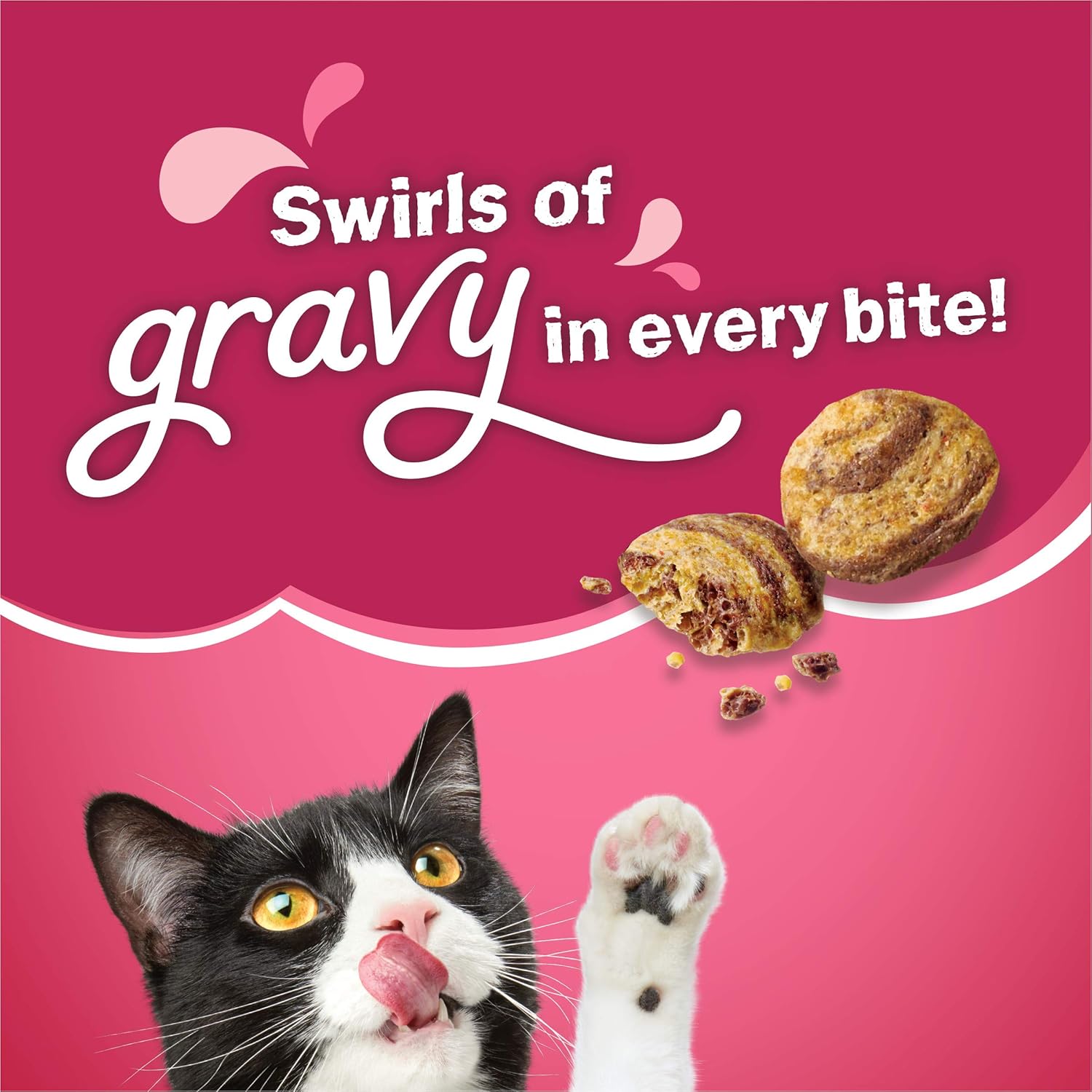 Purina Friskies Dry Cat Food, Gravy Swirlers - 22 lb. Bag · v2