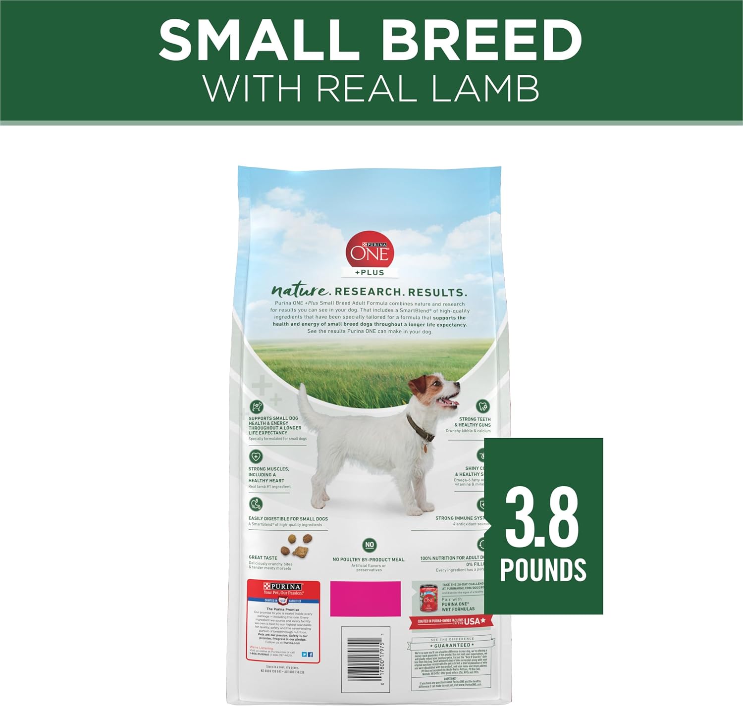 Purina ONE Plus Small Breed Lamb and Rice Formula Dry Dog Food - 3.8 lb. Bag