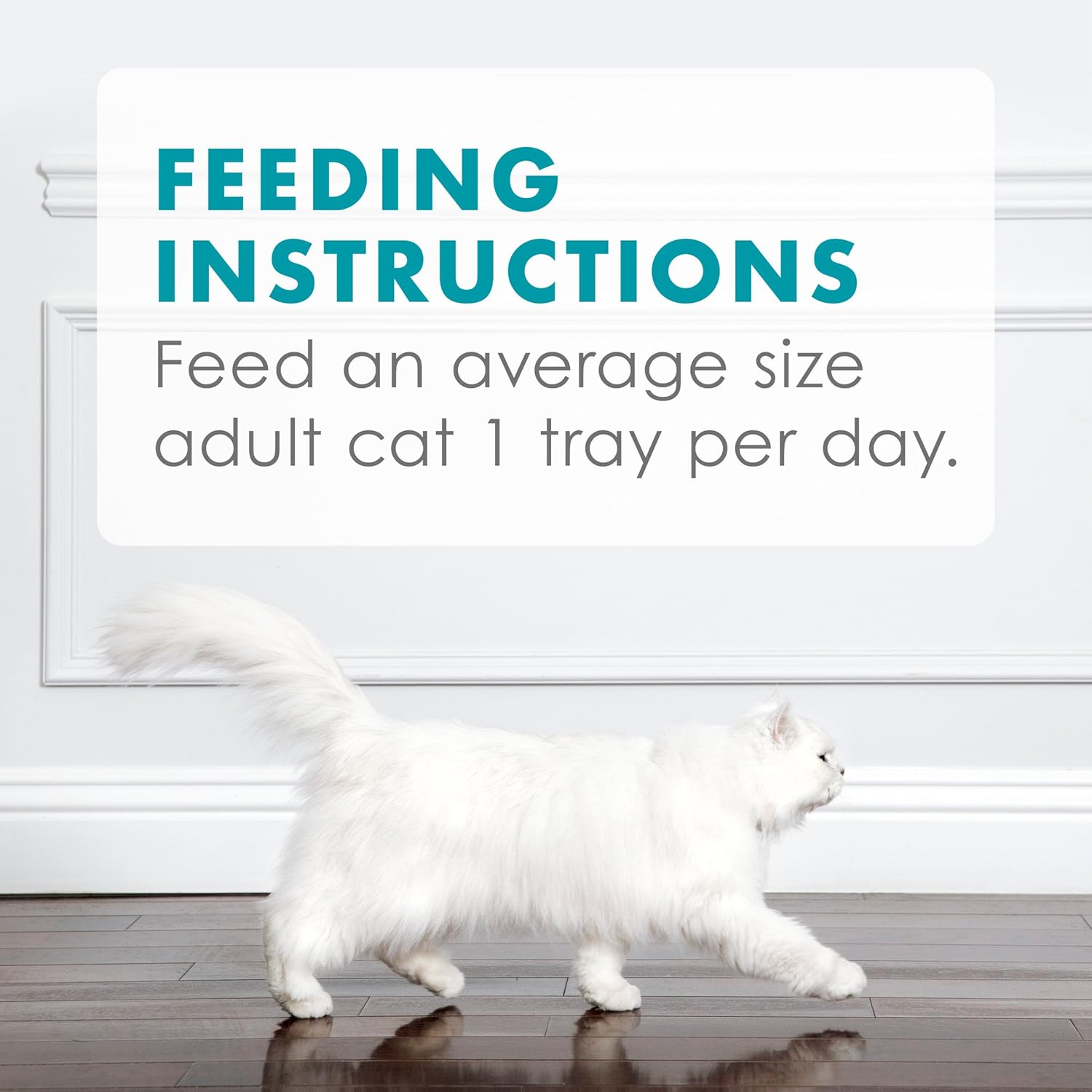 Purina Fancy Feast Appetizers, topper umido per gatti, leccabile, senza cereali, antipasto leggero e tonno con capesante - (confezione da 10) vassoi da 1,1 once